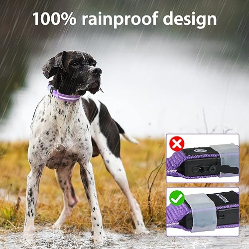 Miniatura 5 de MASBRILL Collar de perro con luz LED, collar de perro recargable con luz resistente al agua, collar de perro iluminado intermitente brillante para