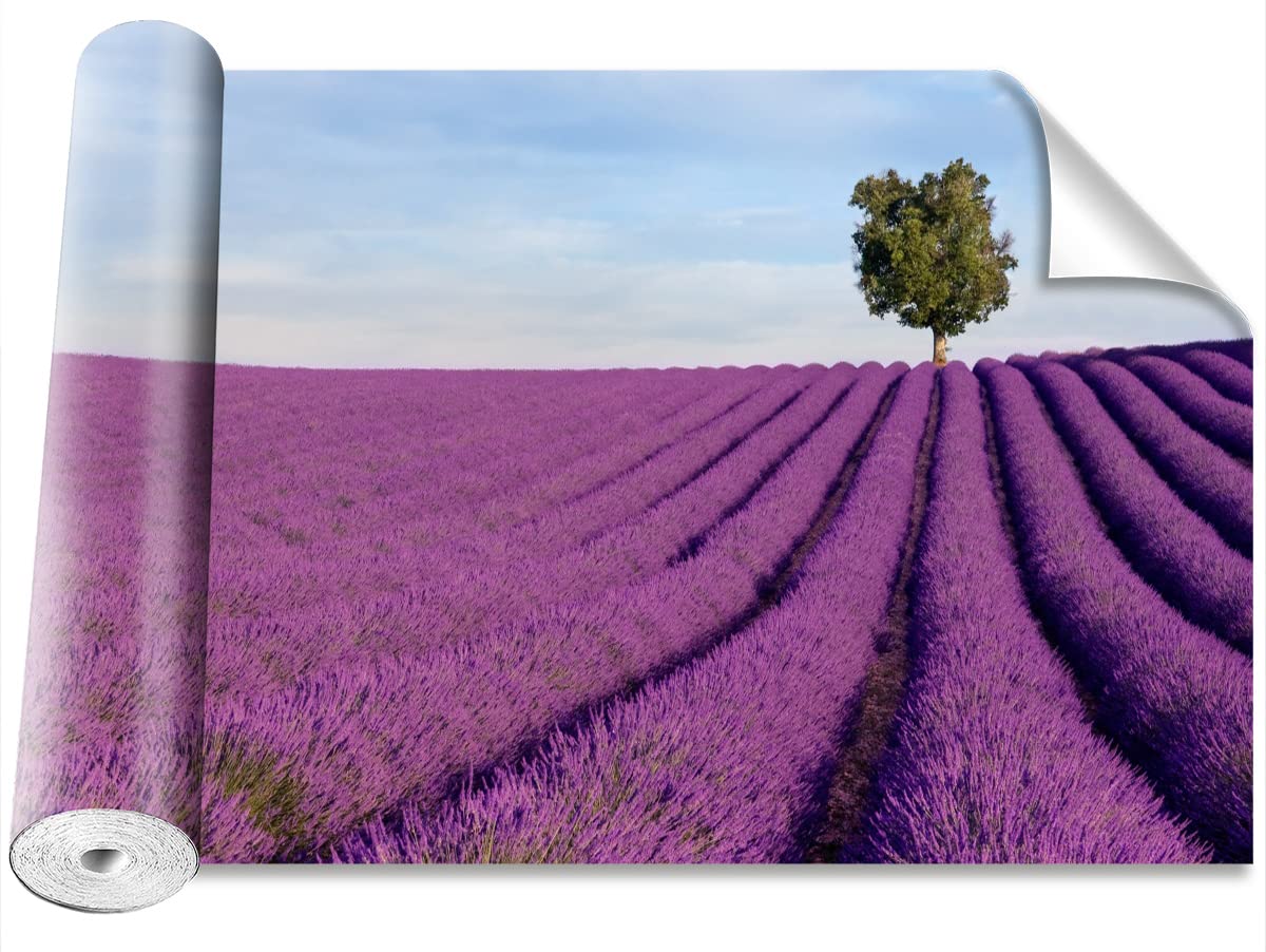 Papier peint moderne 208x146cm champ de lavande pour décoration murale DIY