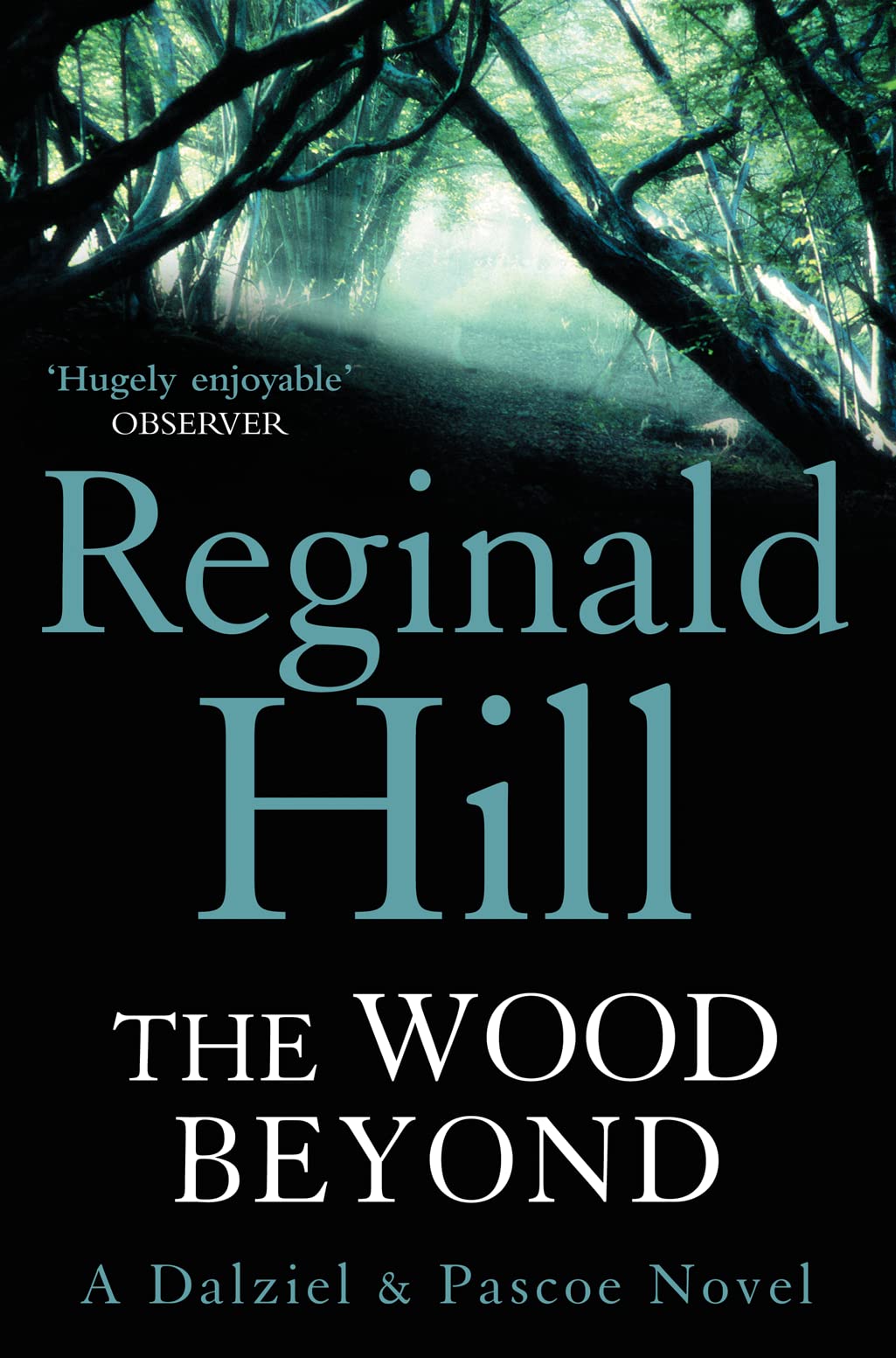 The Wood Beyond Paperback – Big Book, 25 June 2009