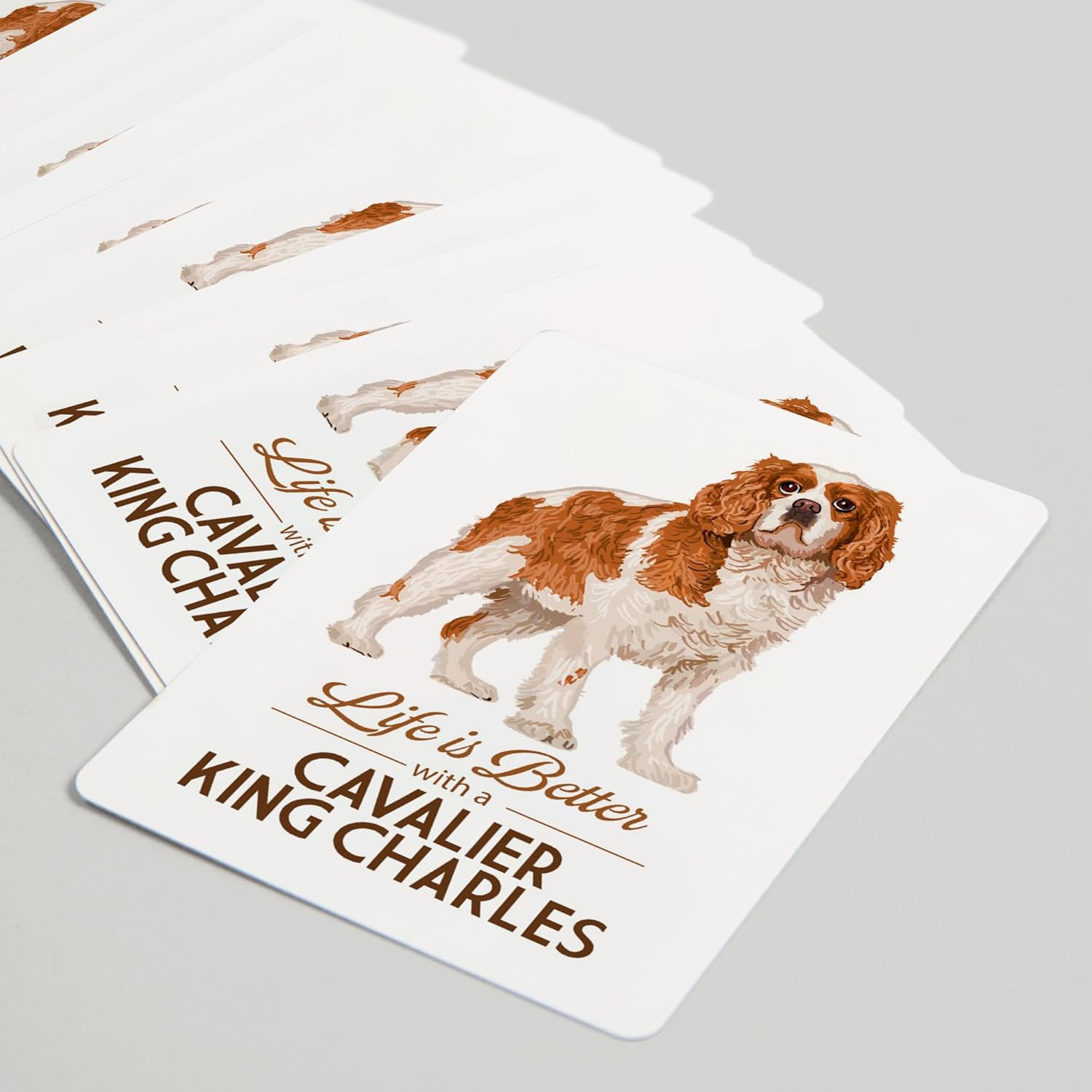 Lantern Press Cavalier King Charles, Life is Better, 52 Playing Cards for Adults, Poker Size Card Deck