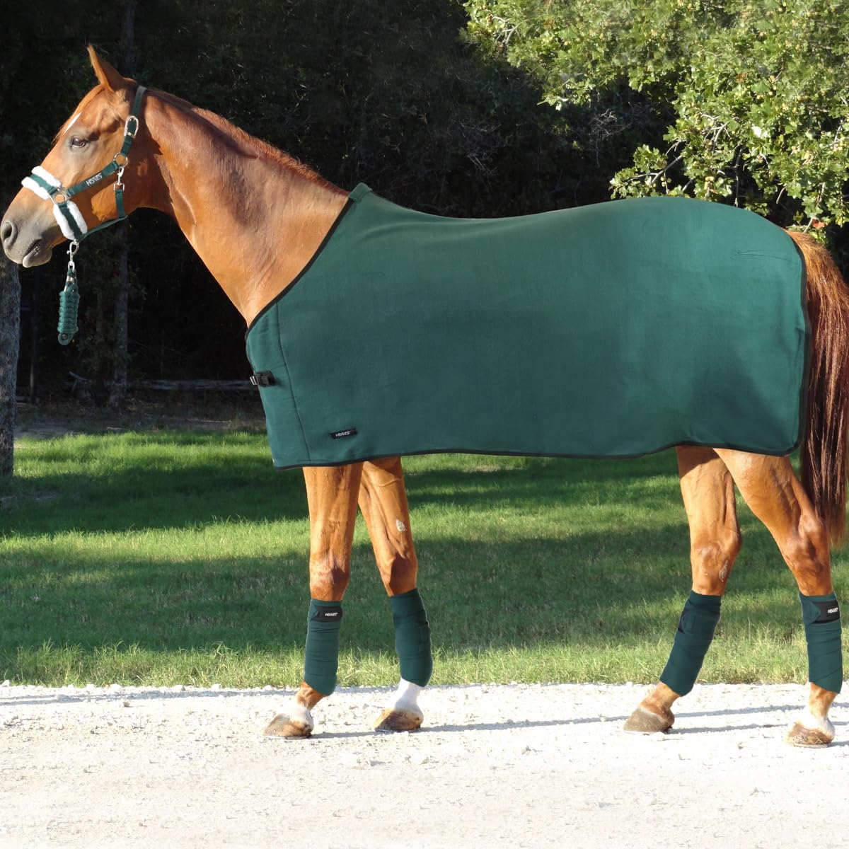 Juego de manta, cabestro, longhina, diademas Horses, cabestro caballo, longuina caballo, manta para caballo, manta para caballo, manta para caballo versátil, bandas de trabajo cómodas para las