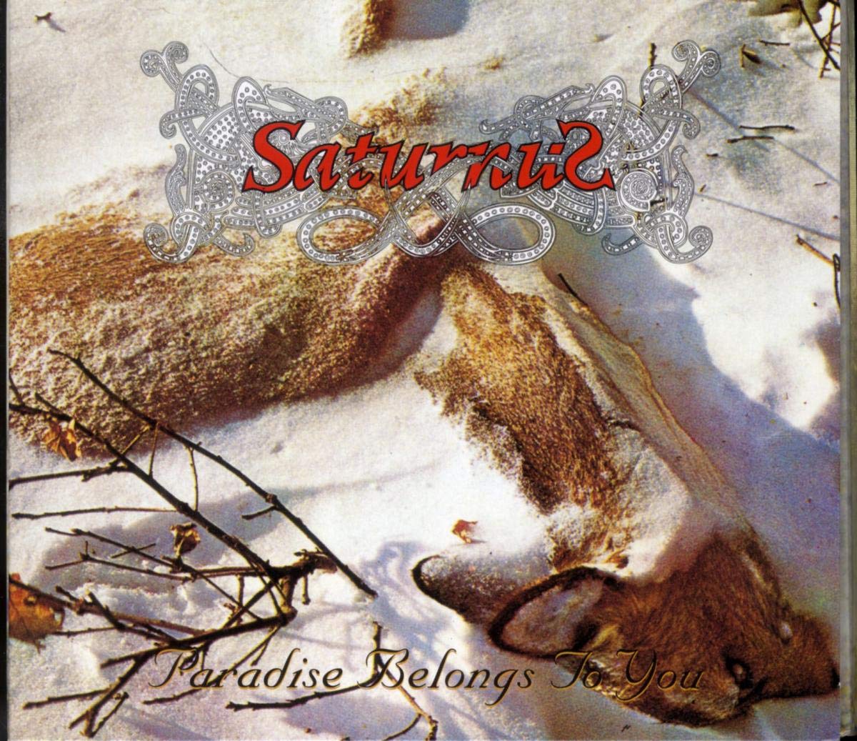洋楽 Saturnus /paradise belongs to you Amazon.co.jp: Paradise Belongs to You: ミュージック