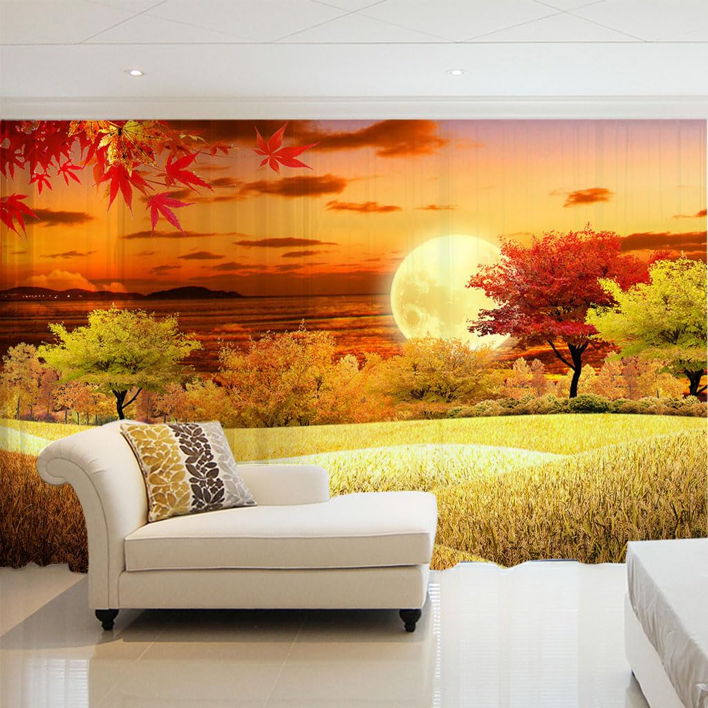 Rideaux voilages à oeillets 260 cm draperies transparentes fenêtre salon chambre
