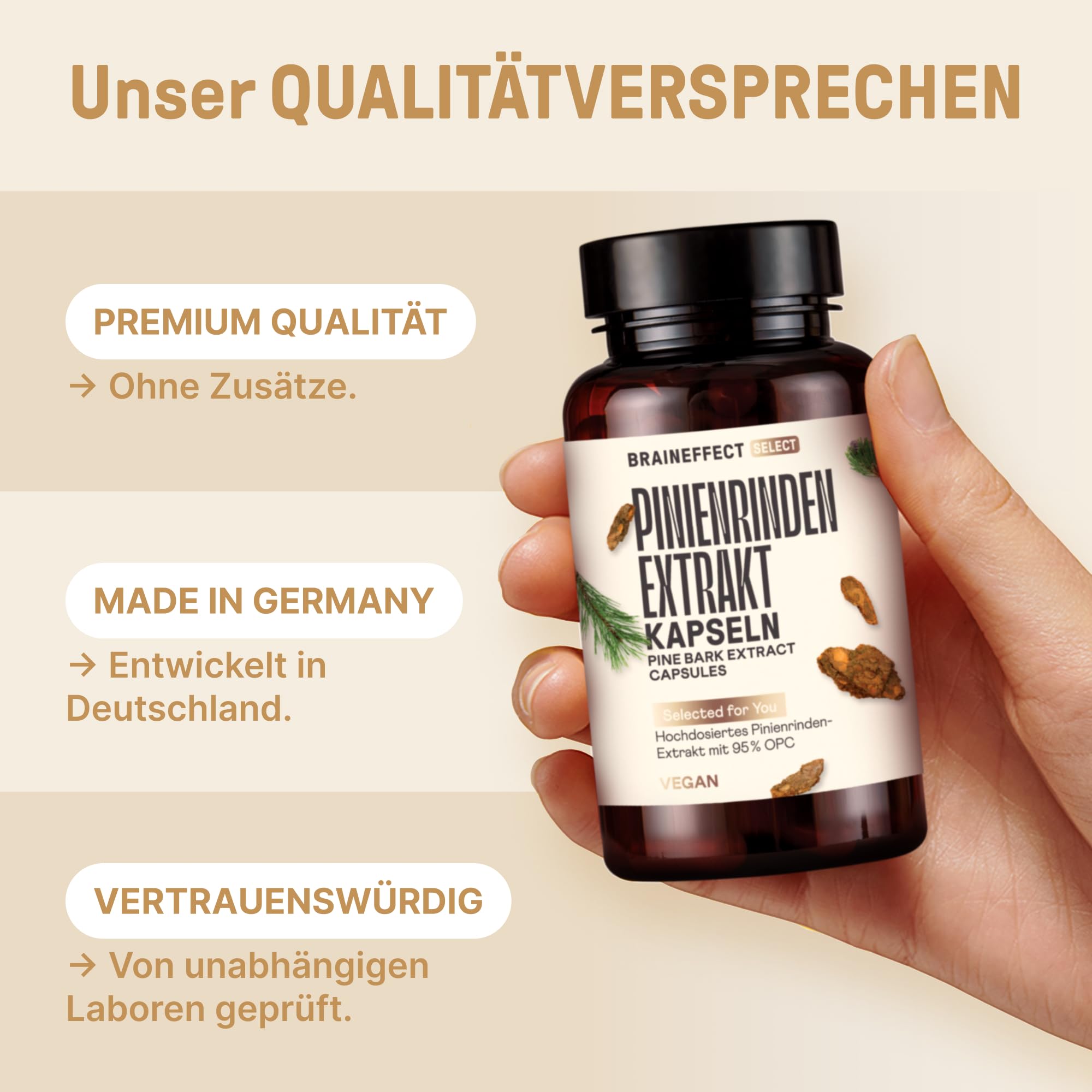 Pinienrinden Extrakt 120 Kapseln - Laborgeprüft nach deutschen Standards, Kiefernrinden Extrakt - Kapseln im Braunglas