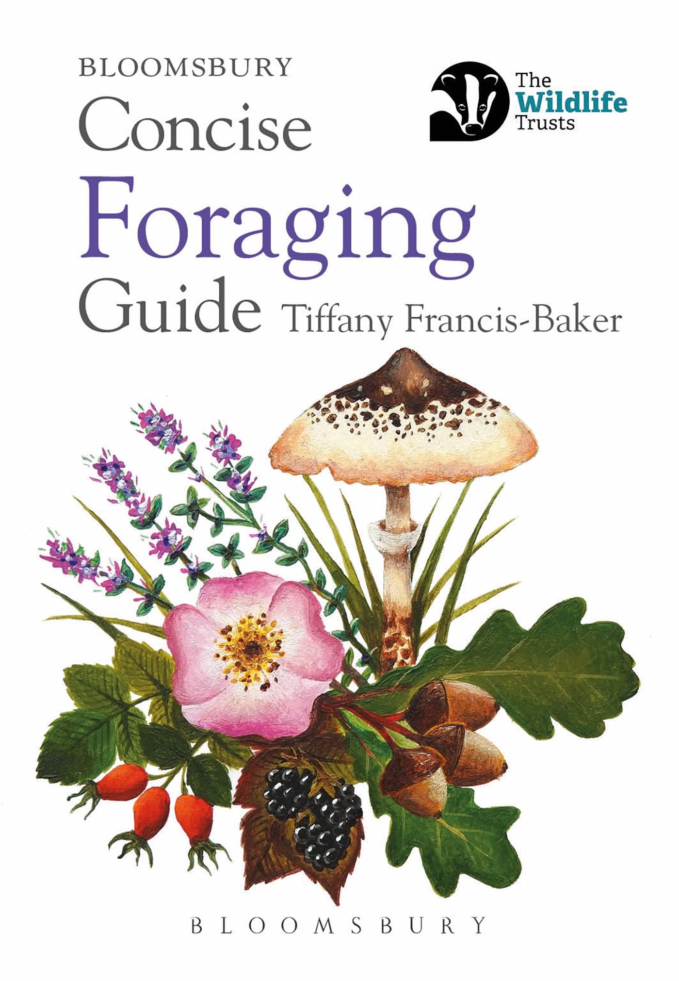 Concise Foraging Guide (Concise Guides) Paperback – 13 May 2021