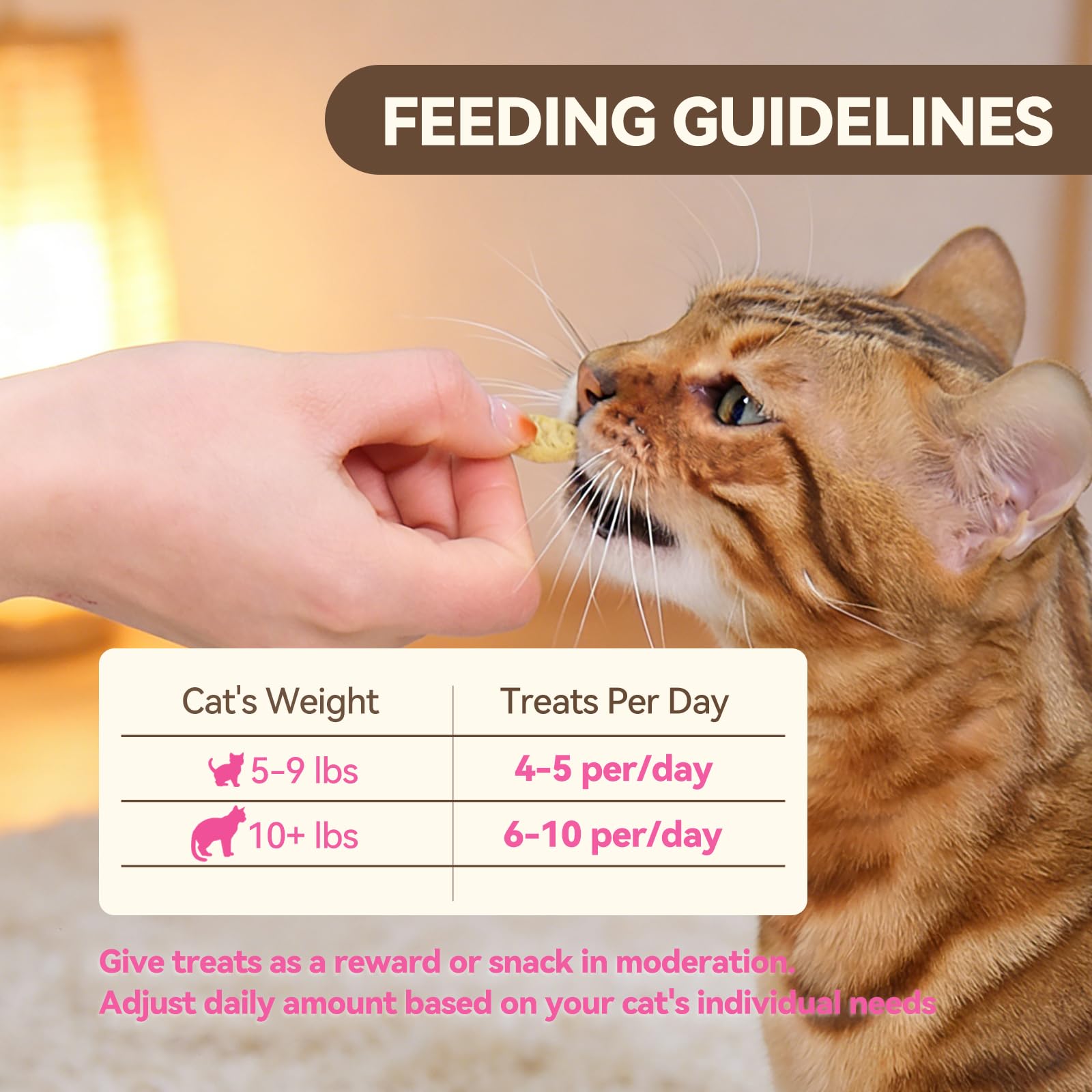 Golosinas para Gatos con Hierba gatera, bocadillos para Gatos con Sabor a Pollo y salmón, golosinas de Entrenamiento para Gatos, crujientes