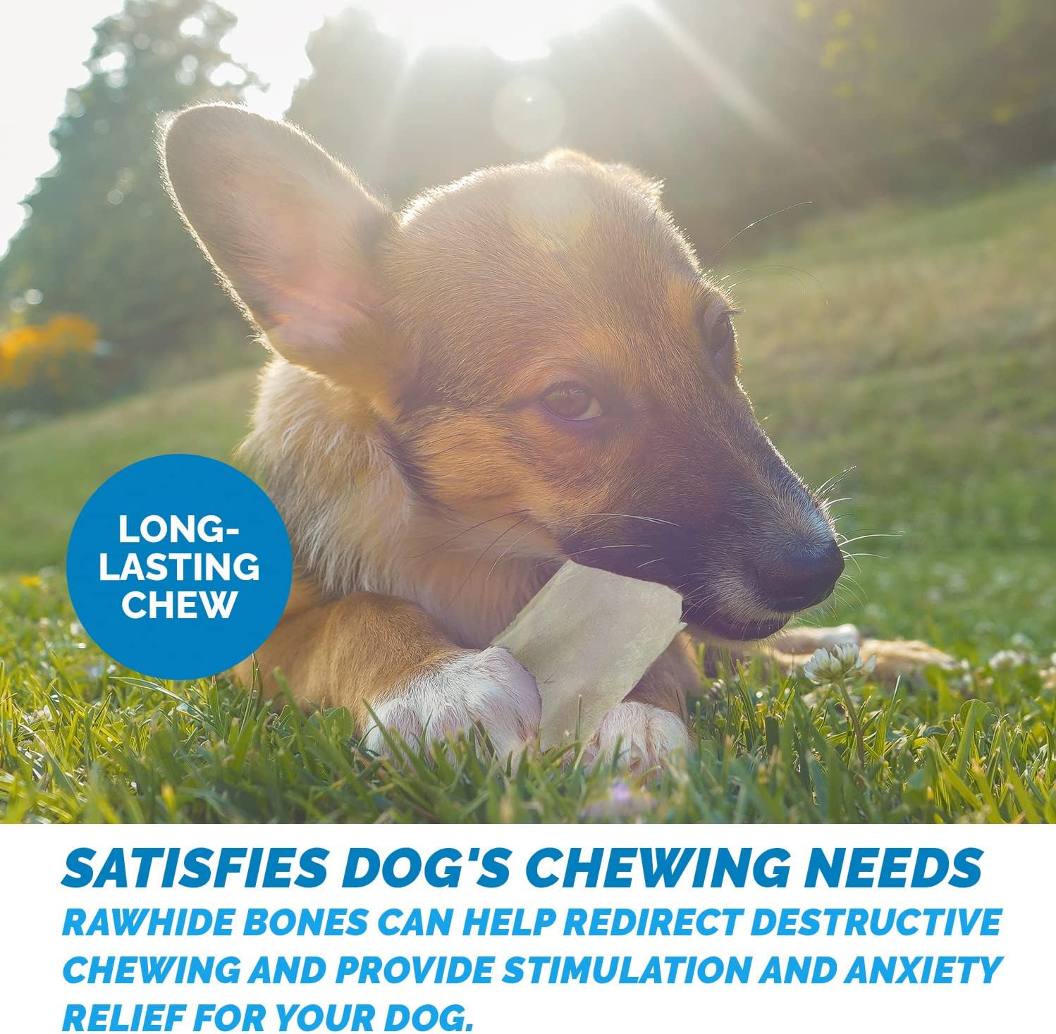 123 Treats Rawhide Chews Dog Chips, Premium Beef Hide (1 Pound) Natural Grass Fed Livestock with No Hormones, Additives or Chemicals, Long Lasting Dental Chews