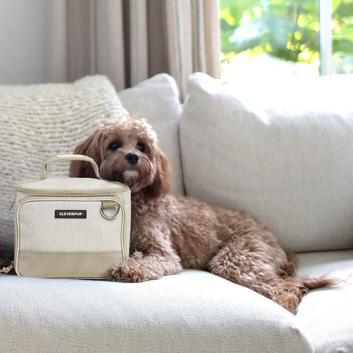 Cleverpup Ultimate Dog Travel Bundle Small 7-Piece Bistro Box Dog Food Travel Kit & Porter Dog Gear Backpack in Sand