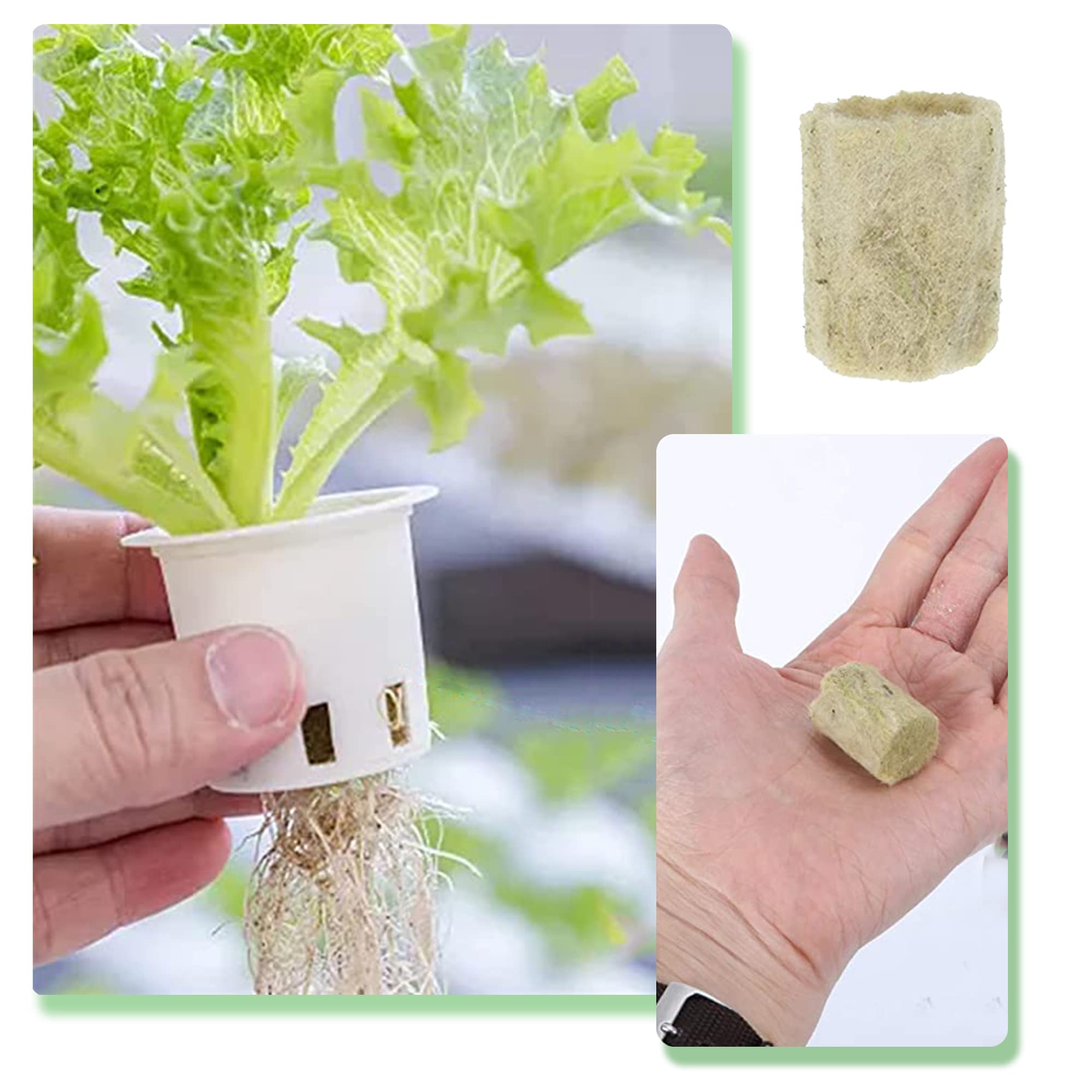 Cubi Di Lana Di Roccia Per Idroponica - 36 Pezzi 3x3x4 Cm Per Talee E Semina - OHYER