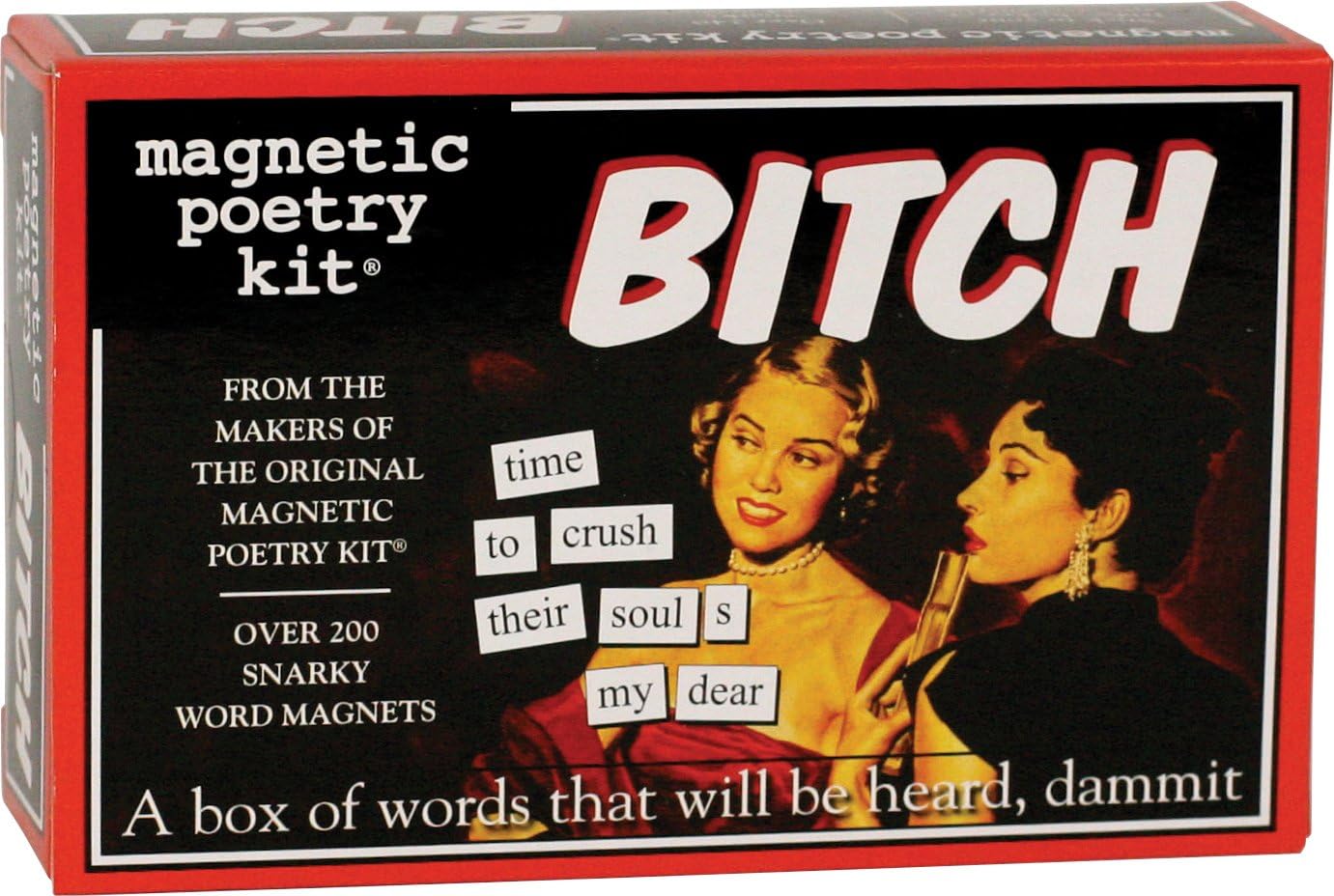 Bitch-Magnetic Poetry Kit