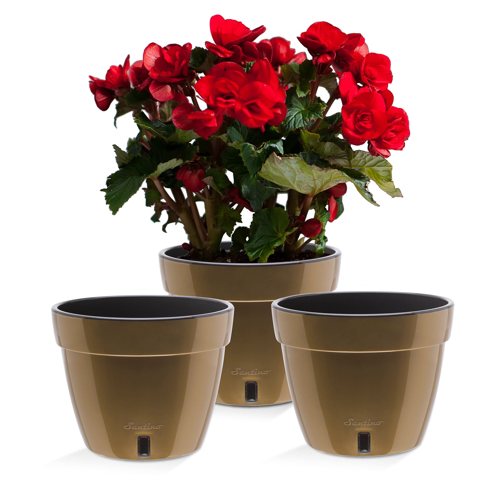 Santino ASTI Maceta de Riego Automático con Indicador de Nivel de Agua, Redonda, para Plantas, Flores, Hierbas (Ø 18 cm, Altura 14 cm, 2,5 L, Rojo/Blanco) — view 9