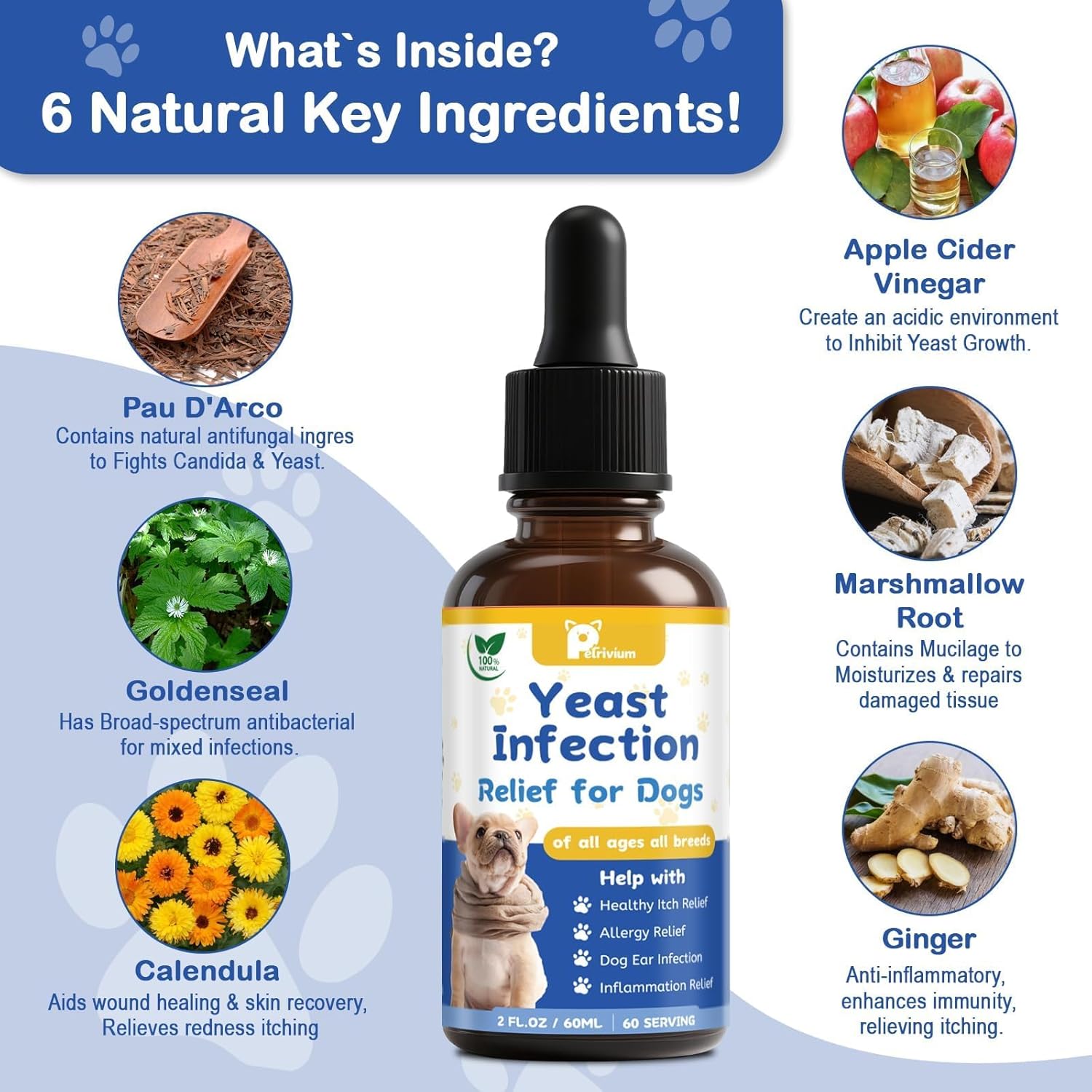 Yeast Infection Treatment for Dog, Natural Dog Yeast Infection Relief for Itchy Skin & Ear - Allergy & Paw Itching, Soothes Irritation & Reduces Inflammation Herbal Dog Supplement Drops 2 Packs