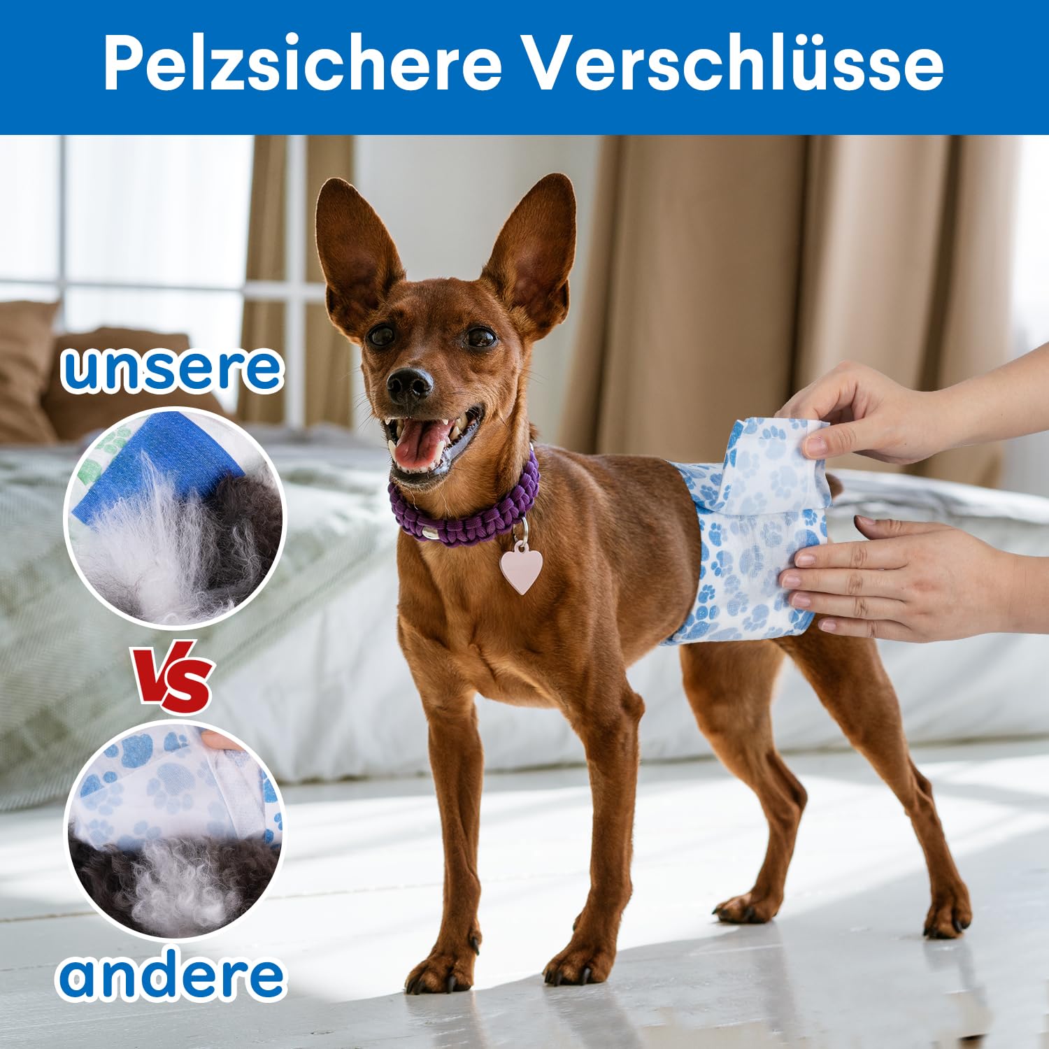 Dono Hundewindeln für rüden,40 Stück,rüdenwindel,Windeln fur rüden Hunde,rüdenbinde,super saugfähig, Welpenwindeln, Bauchbänder für Hundemarkierung, aufregendes Urinieren, Training