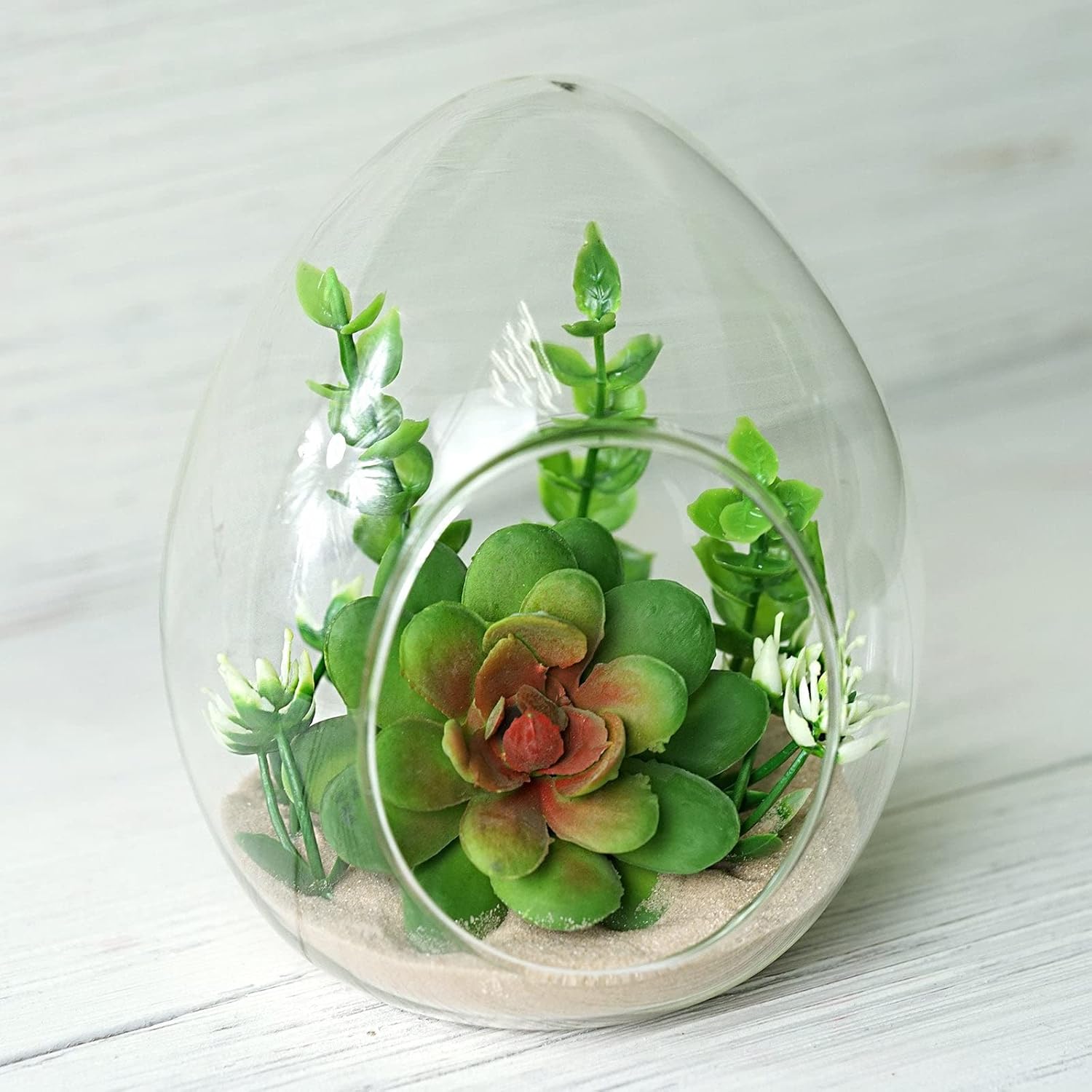 Efavormart 6pcs Egg Shape Glass Terrarium Clear Glass Globe Hanging Succulent Glass Planter