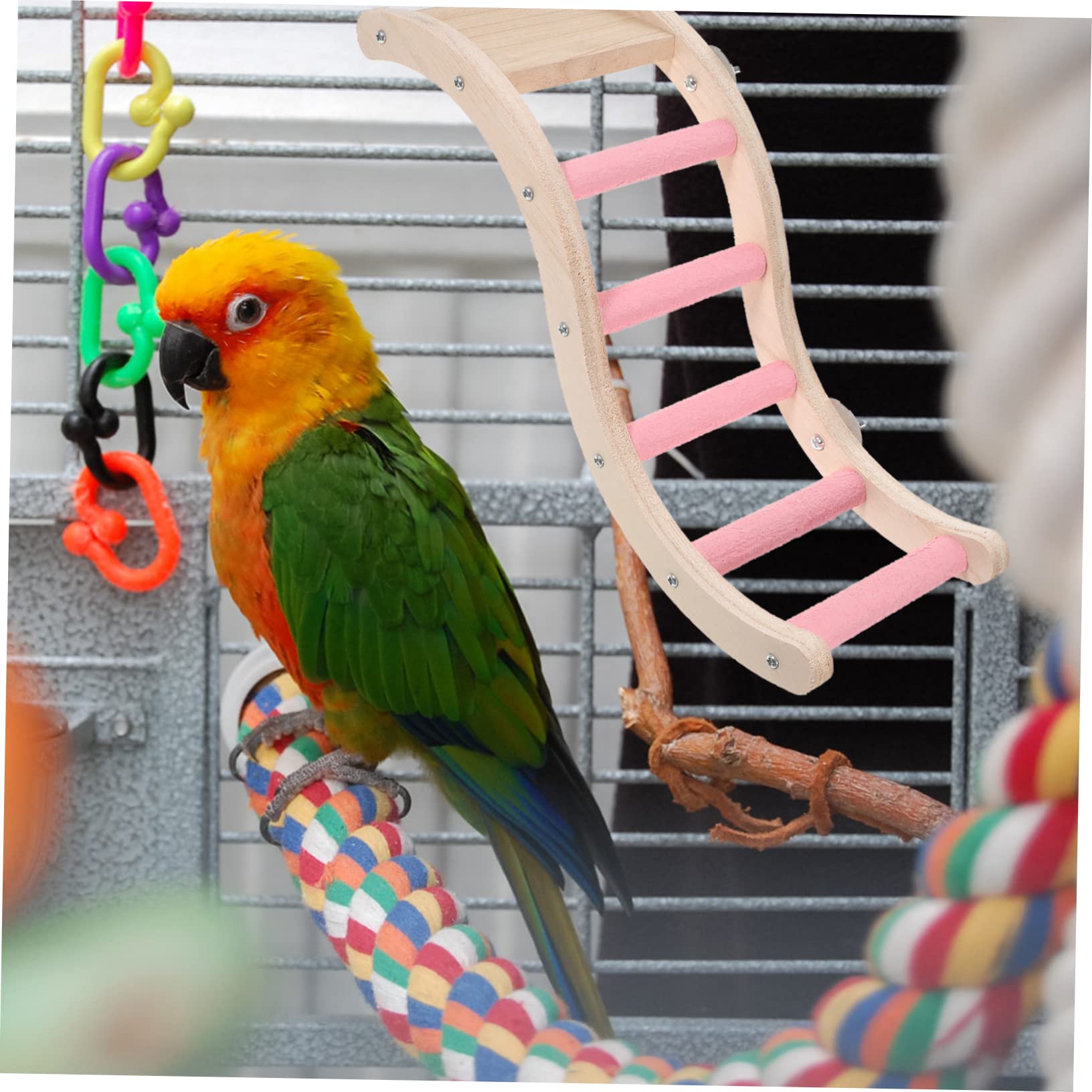 Échelle pour Cage à Oiseaux en Plastique Rose, Jouet d Escalade Sûr à Mâcher pour Perruches et Souris, pour Agrandir L Espace d Activité la Maison