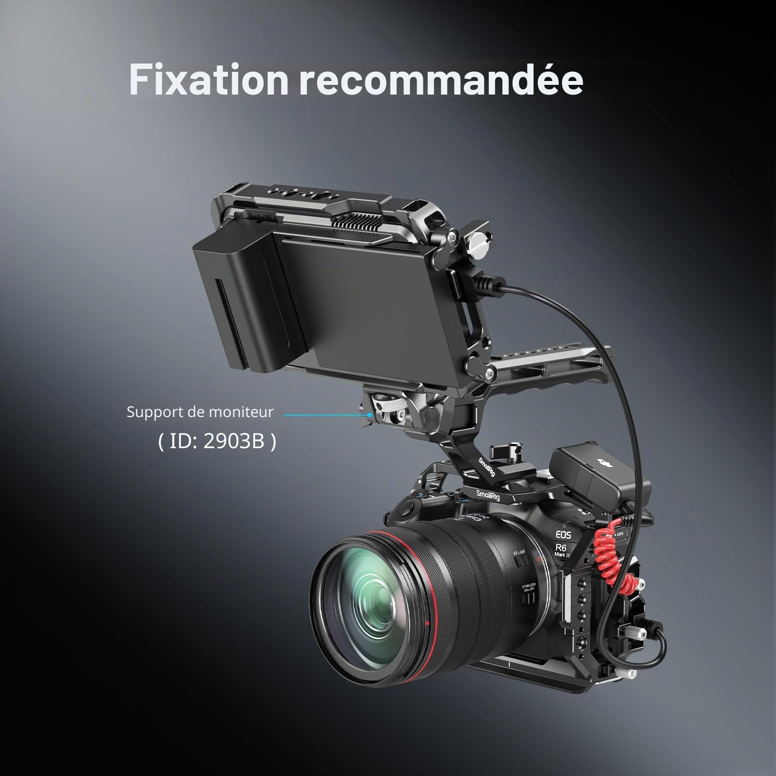 SMALLRIG Kit Cage R6 Mark III pour Canon R6 Mark II avec Poignée Supérieure et Serre-câble, Rails NATO HawkLock, Plaque de Dégagement Rapide Arca, Compatible avec DJI RS 3 / RS 3 Pro/RS 4 / RS 4 Pro