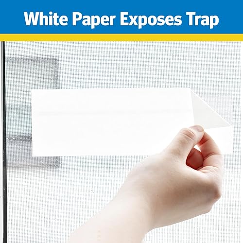 Miniatura 6 de Raid Trampa para moscas de ventana, 4 unidades (paquete de 6)