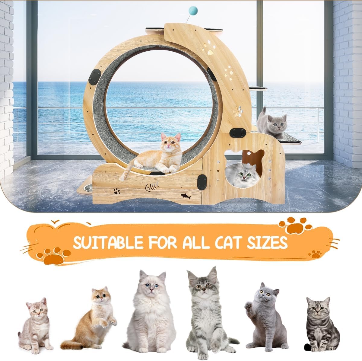 6-in-1 Cat Exercise Wheel, Upgraded Large Cat Wheel Exerciser, Running Wheels for Indoor Cats, Cats Wheel with Silent (Wood)