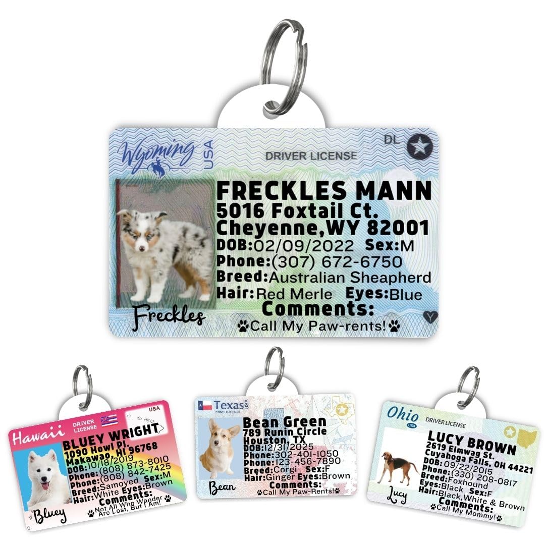 Wyoming Driver License Custom Dog Tag for Pets and Wallet Card - Dog Tags for Dogs - Dog ID Tag - Personalized Dog ID Tags - Cat ID Tags - Personalized Pet ID Tags (Wyoming, Tag)