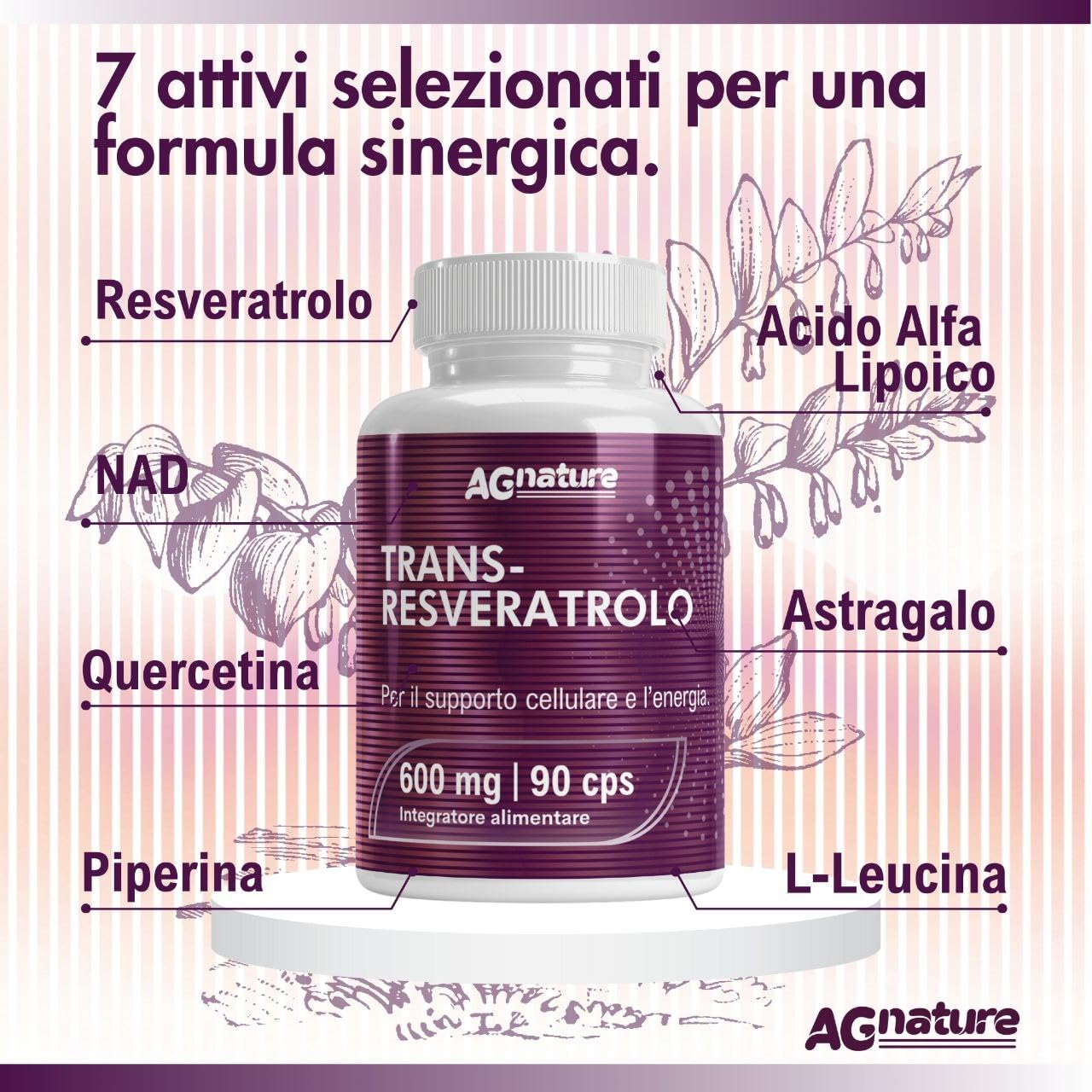 Trans Resveratrolo 600mg Antiossidante Puro 90 Compresse con NAD, Quercetina, Piperina, Acido Alfa Lipoico e Astragalo
