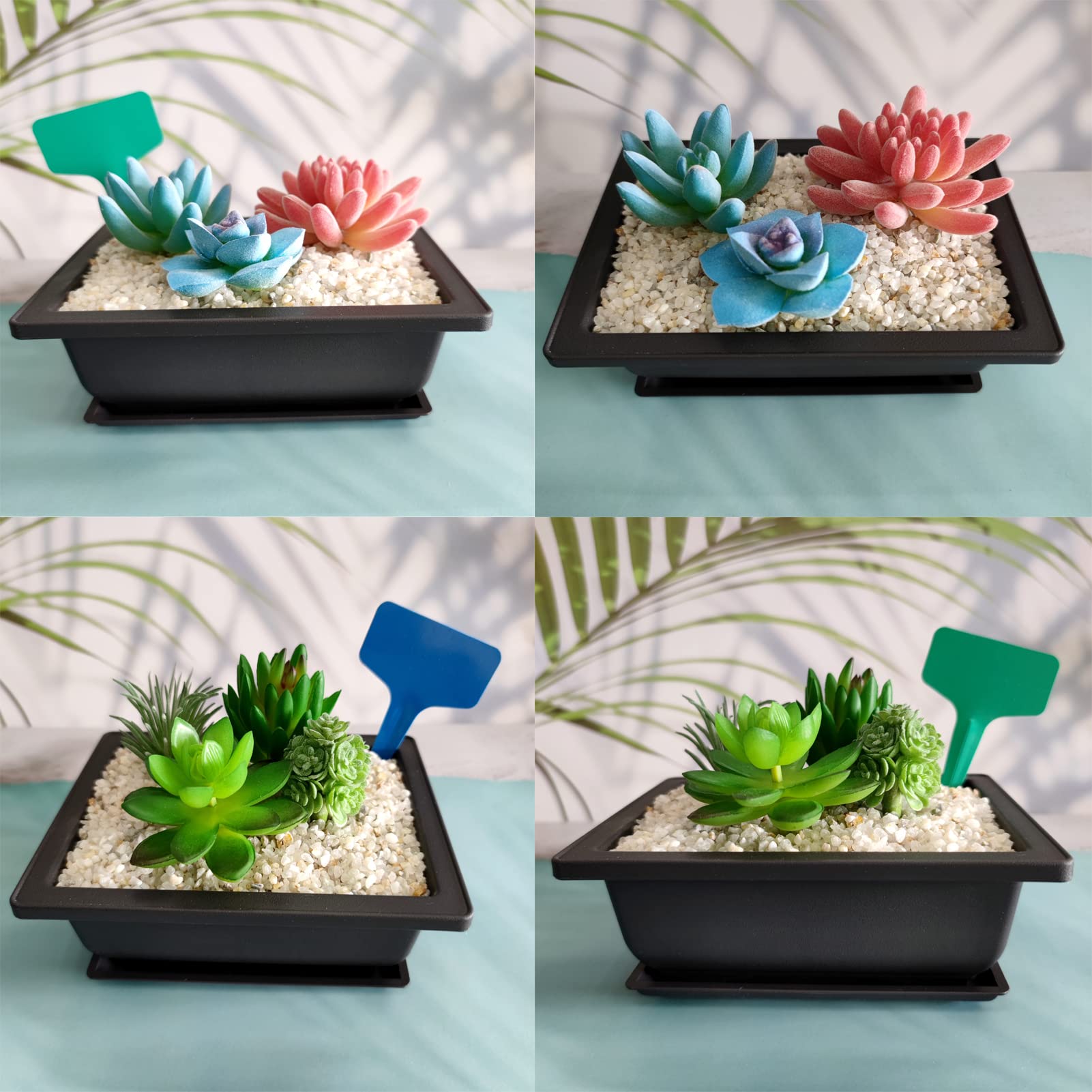 6 Vasi Per Bonsai In Plastica 22,4 Cm Con Vassoi E 15 Etichette – Contenitori Per Piante Grasse E Cactus - 5