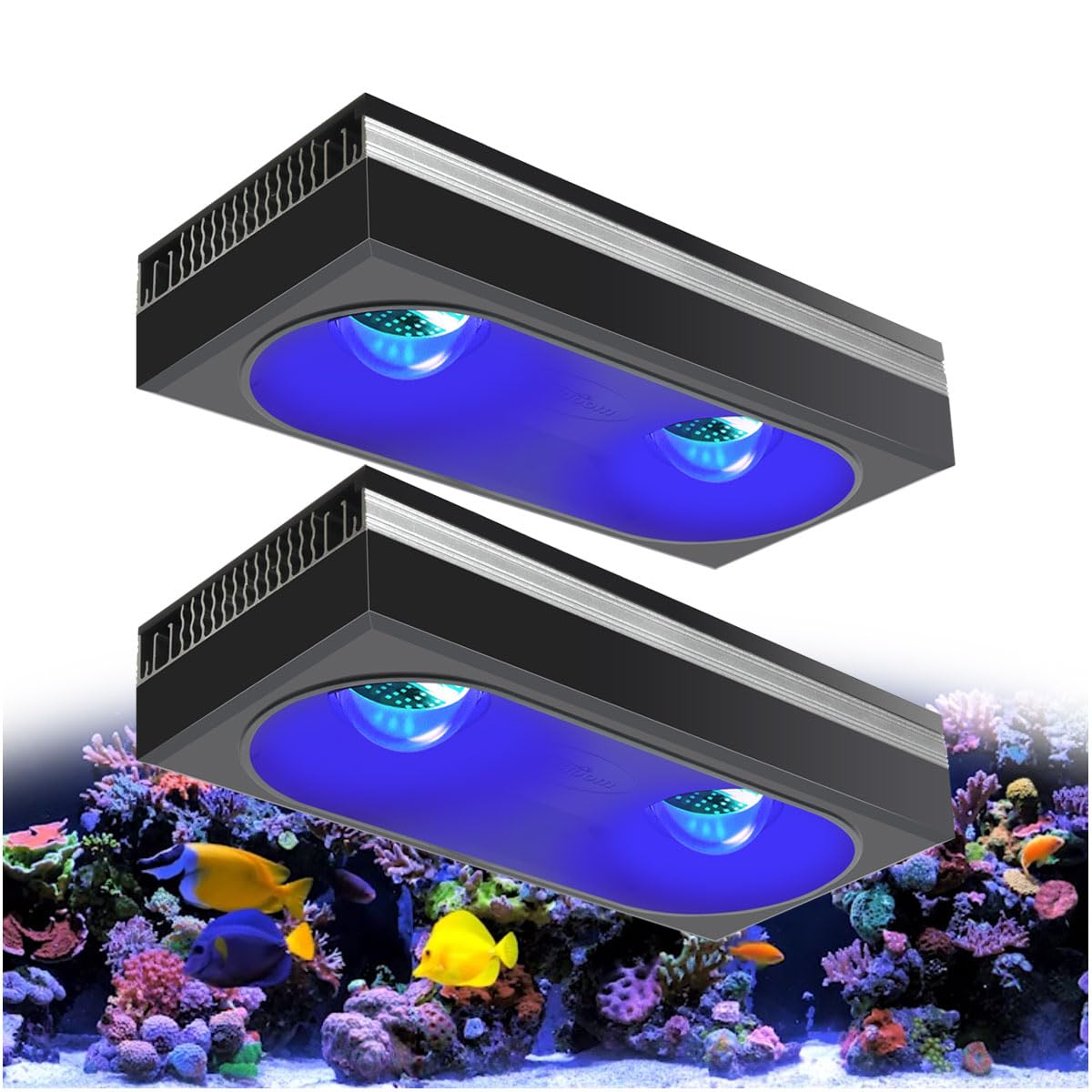 PopBloom RL180 WiFi Meerwasser LED 180W, Salzwasser LED Beleuchtung für Reef Coral Fish Wasserpflanzen Salzwasser Aquarium,APP unterstützt Deutsch (2 Lampen mit Hängeset)