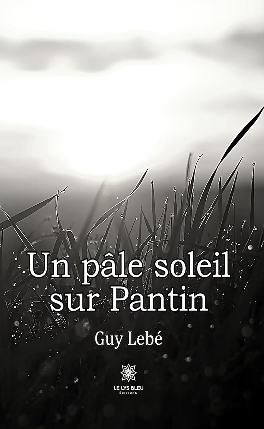 Un pâle soleil sur Pantin (French Edition)