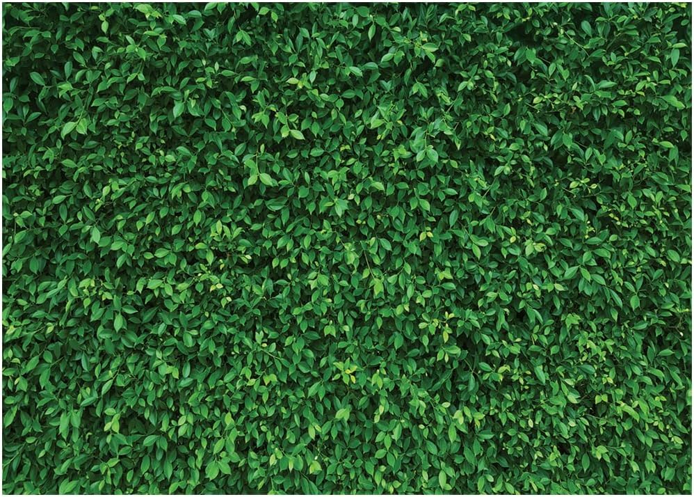 LYWYGG7x5FT Green Leaves Photography Backdrops Mmicrofiber Nature Backdrop Birthday Background for Birthday Party Seamless Photo Booth Prop Backdrop CP-87