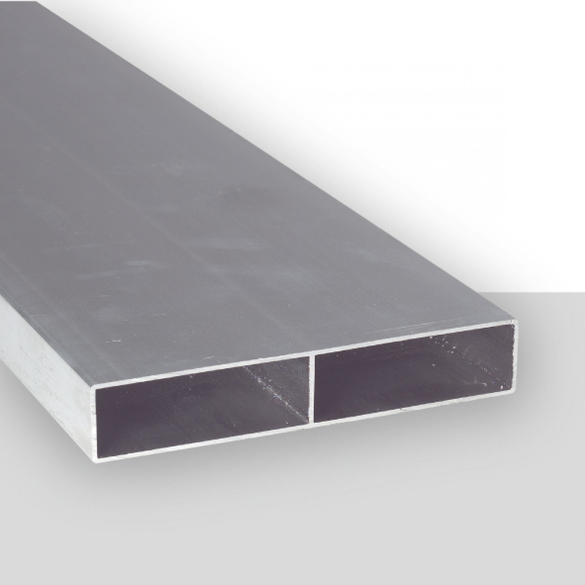 TRIUSO Richtlatte 2,0 m P rofil 100x18 - Aktion -