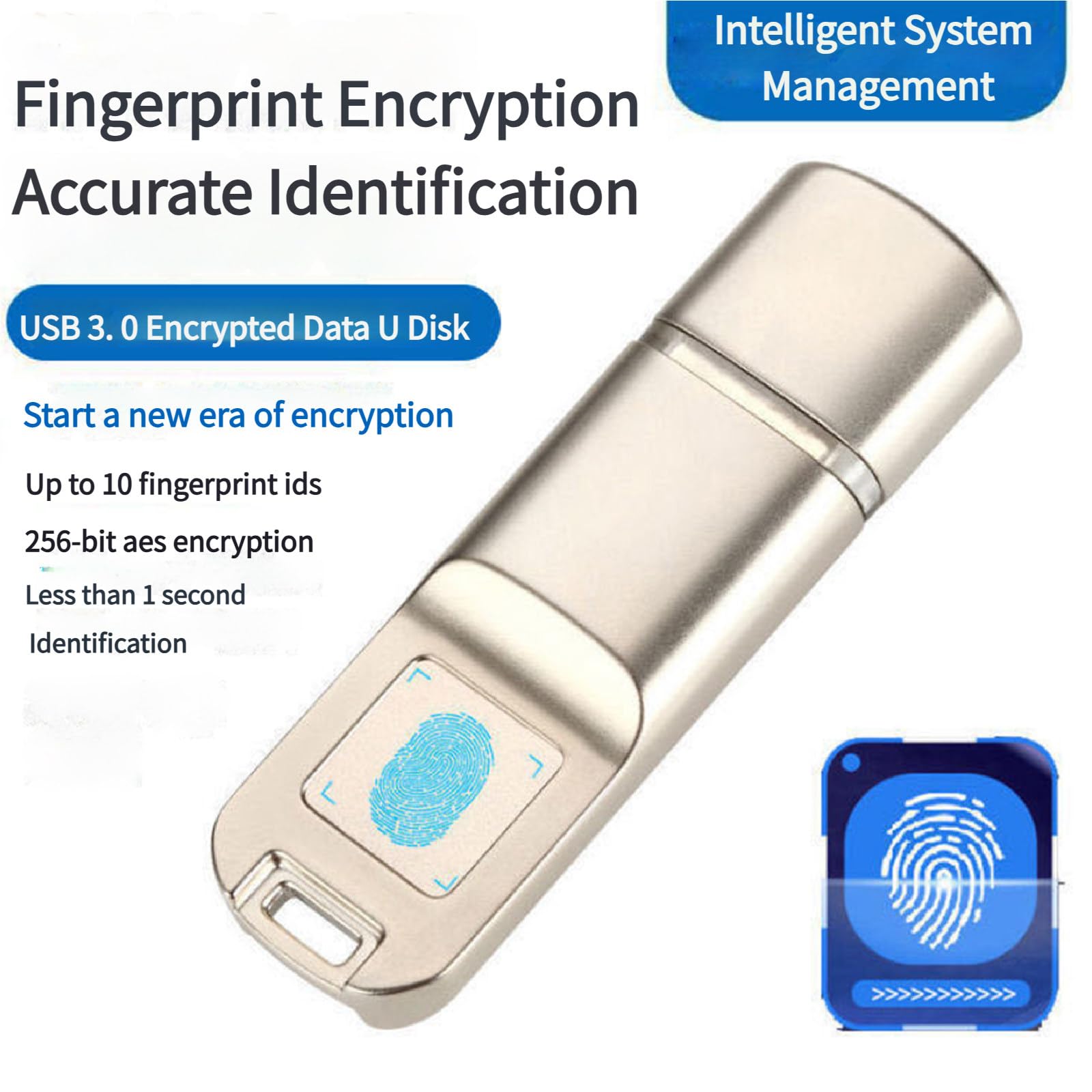 Chiavetta USB sicura con crittografia delle Impronte digitali, chiavette USB con Protezione Tramite Password per l'archiviazione Dati, Fino a 10 ID Impronte digitali 256GB