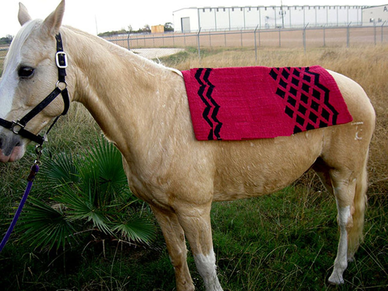 アウトドア寝具 HORSE BLANKET RESEARCH WOOL BLANKET Horse Blanket Research（ホースブランケットリサーチ）/ Horse