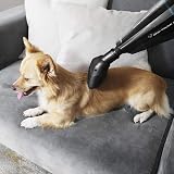Cecotec Aspirateur à Main Conga Immortal ExtremeSuction 22.2 Animal Hand. 22.2 V, pour Solides et Liquides, Accessoire pour Animaux, Technologie Cyclonique, Autonomie de 25 Min - 4