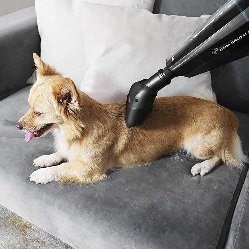 Cecotec Aspirateur à Main Conga Immortal ExtremeSuction 22.2 Animal Hand. 22.2 V, pour Solides et Liquides, Accessoire pour Animaux, Technologie Cyclonique, Autonomie de 25 Min - 4