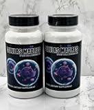 2 Bottles Celulas Madre Supports Joint & Muscles Stem Cell Immune Control 120 Capsules Madre Cell Plus. All Natural Steam Enhancer New