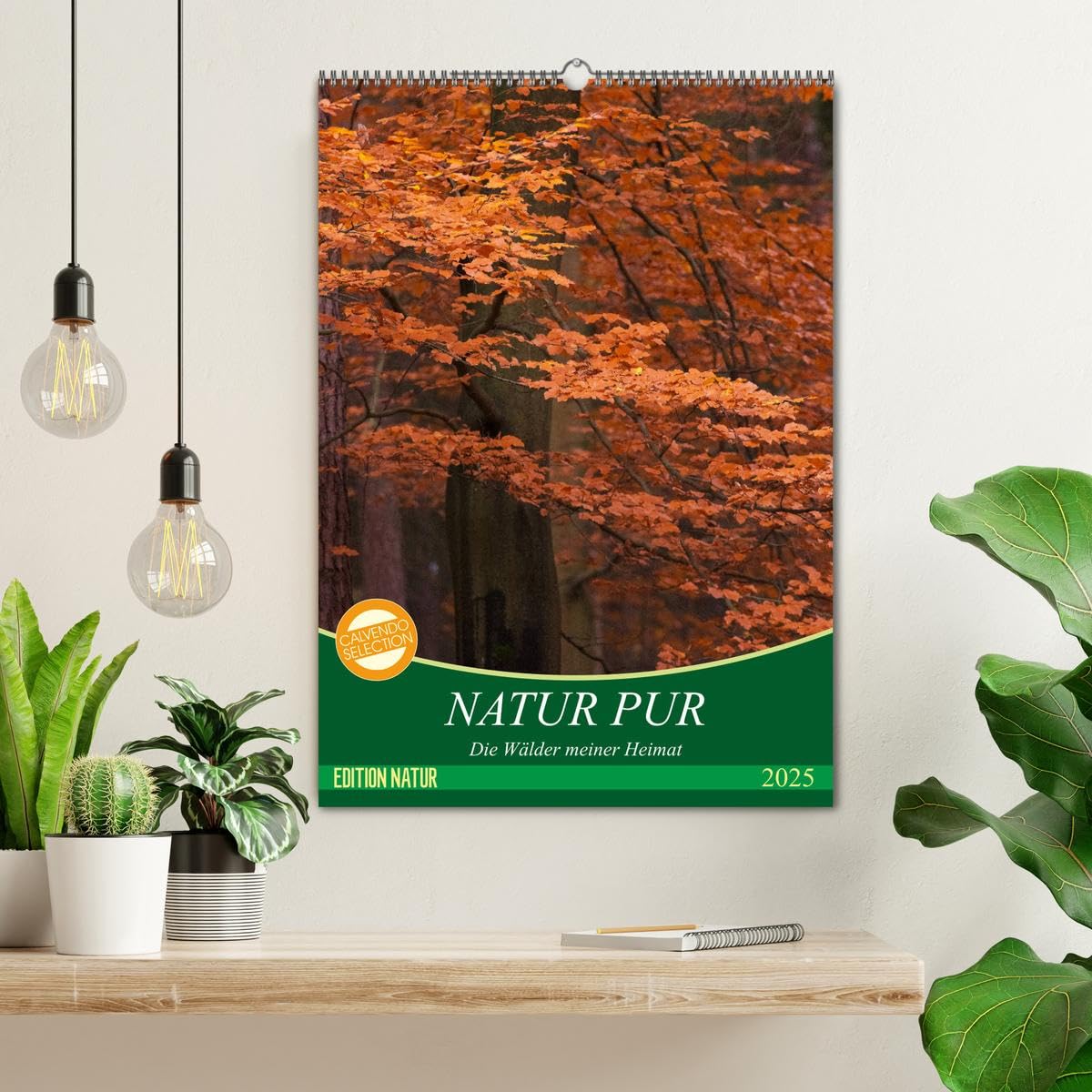 NATUR PUR - Die Wälder meiner Heimat (Wandkalender 2025 DIN A2 hoch), CALVENDO Monatskalender: Mit offenen Augen durch den Wald gehen (CALVENDO Natur)