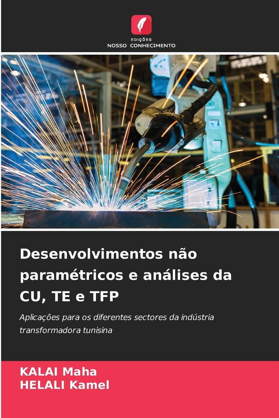 Desenvolvimentos não paramétricos e análises da CU, TE e TFP: Aplicações para os diferentes sectores da indústria transformadora tunisina