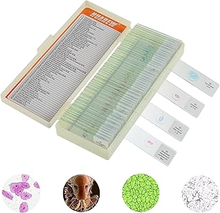 60 Pcs Mikroskop Objektträger mit Biologischen Proben, Pflanzen Insekten Menschliche Zelle für Labor Biologie und Wissenschaft Studium, Mikroskop Zubehör, Dauerpräparate für Mikroskop.