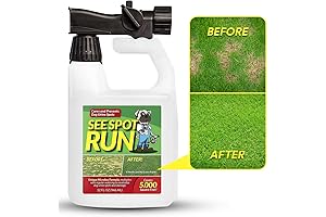 See Spot Run: Eliminate Yellow Spots from Dog Urine on Your Lawn