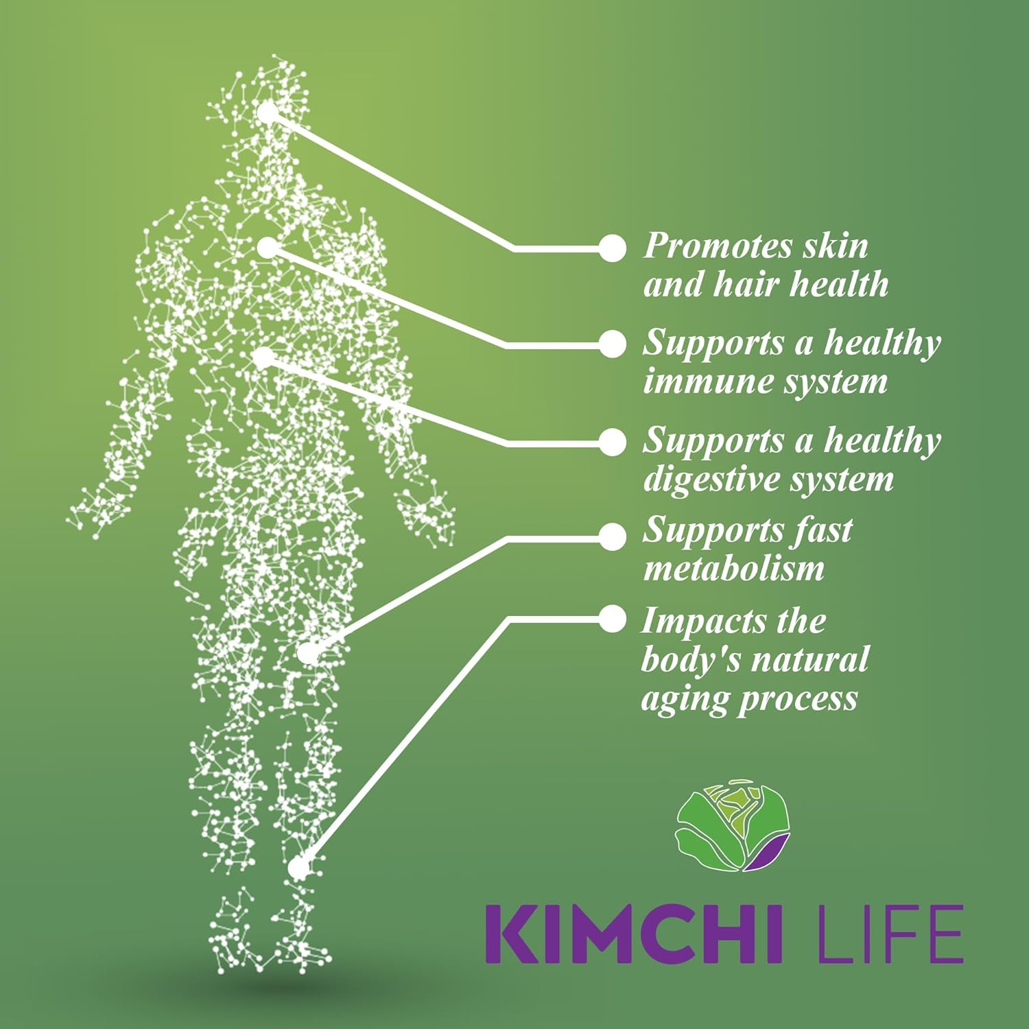 – Daily Capsules of Premium Fermented Kimchi - Vegan & Natural Nutritional Supplement - Probiotics for Gut Health & Immune Support – Enhance Energy, Focus, Skin and Hair Health - Image 7