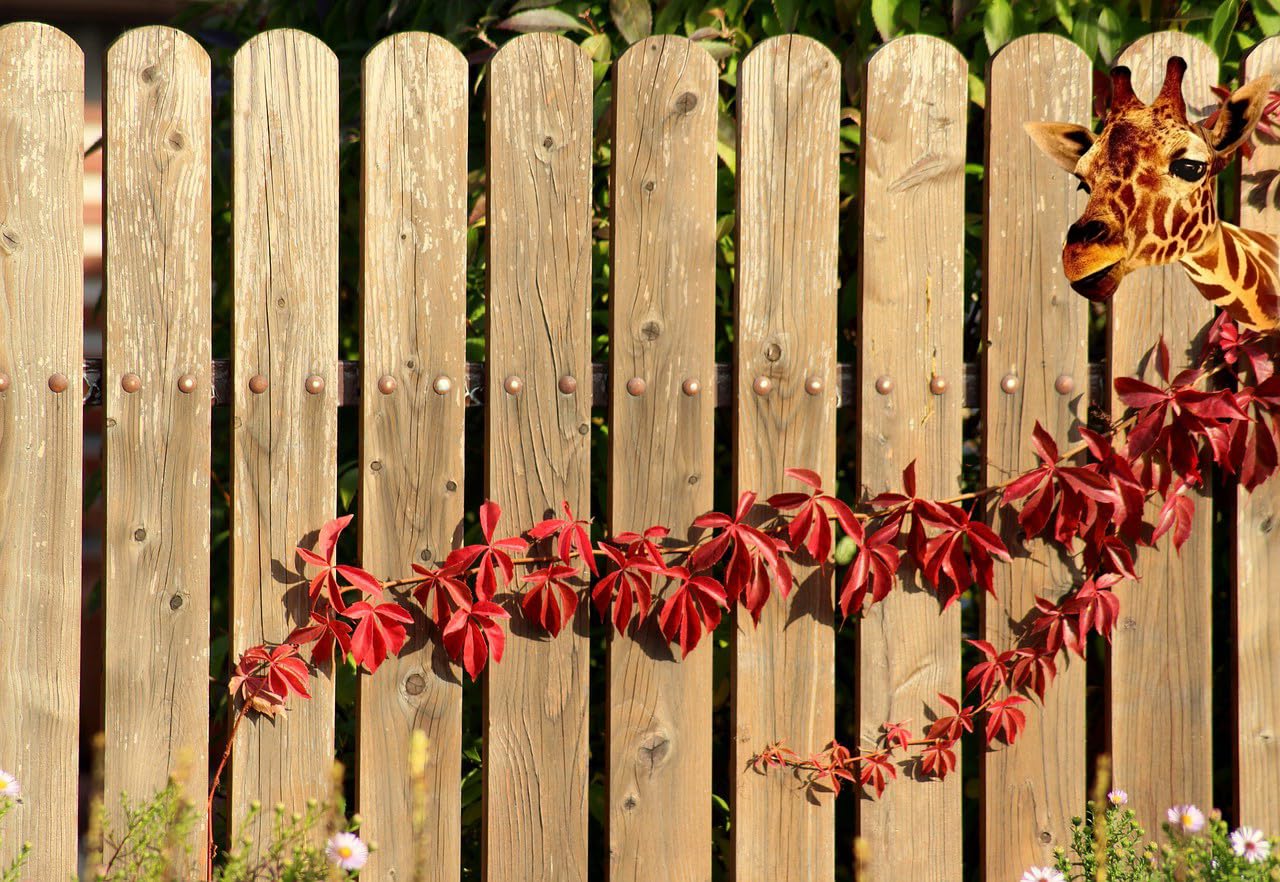 View 5