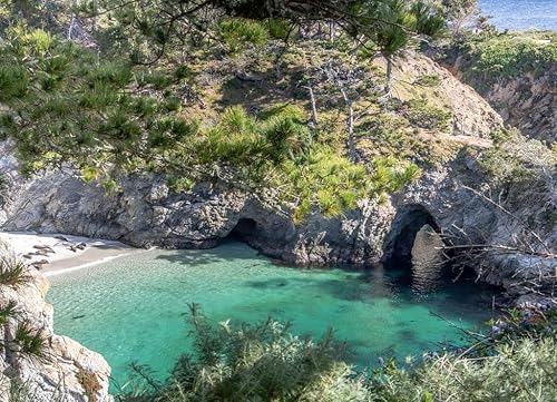 Miniatura 2 de Noah Puzzle Point Lobos State Park California 1000 piezas