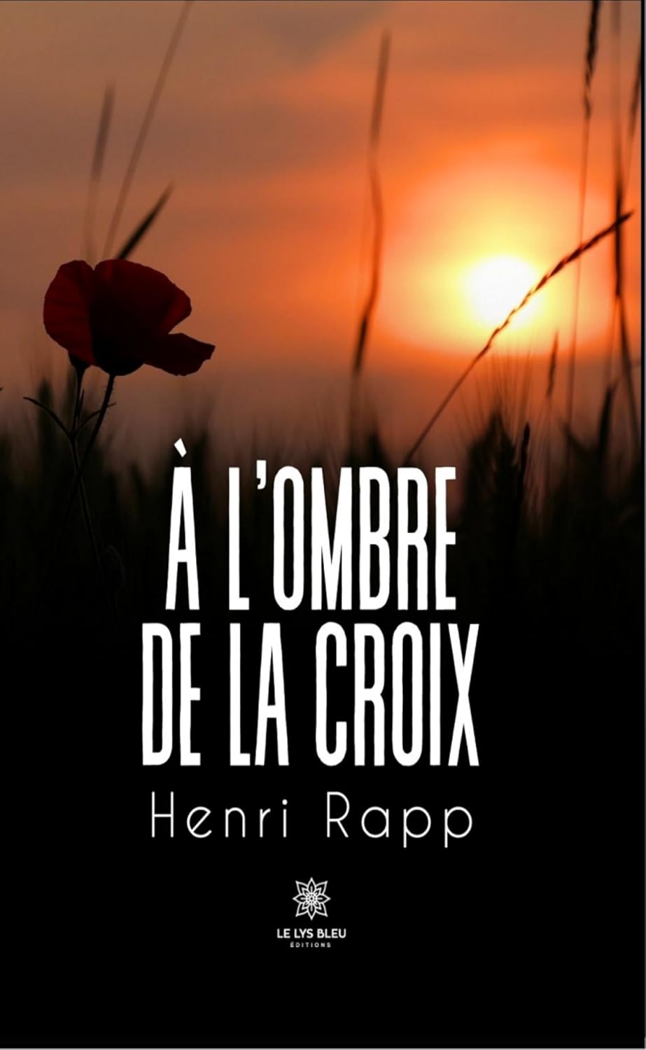À l’ombre de la croix (French Edition)