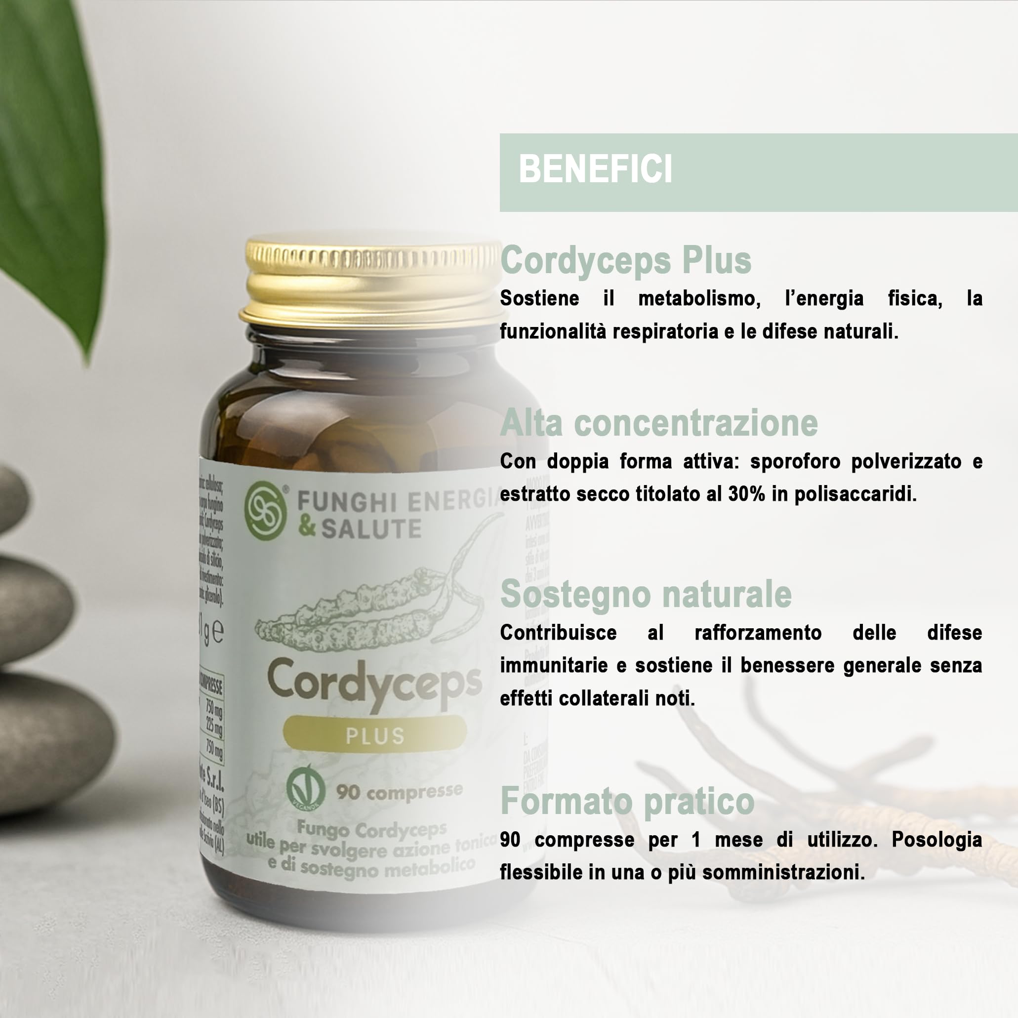 Cordyceps Plus, Integratore con Funghi Medicinali, 90 Compresse, Cordyceps sinensis 50% Sporoforo, 50% Estratto Secco Titolato, 30% Polisaccaridi, VeganOK, No Glutine, No Lattosio, No OGM
