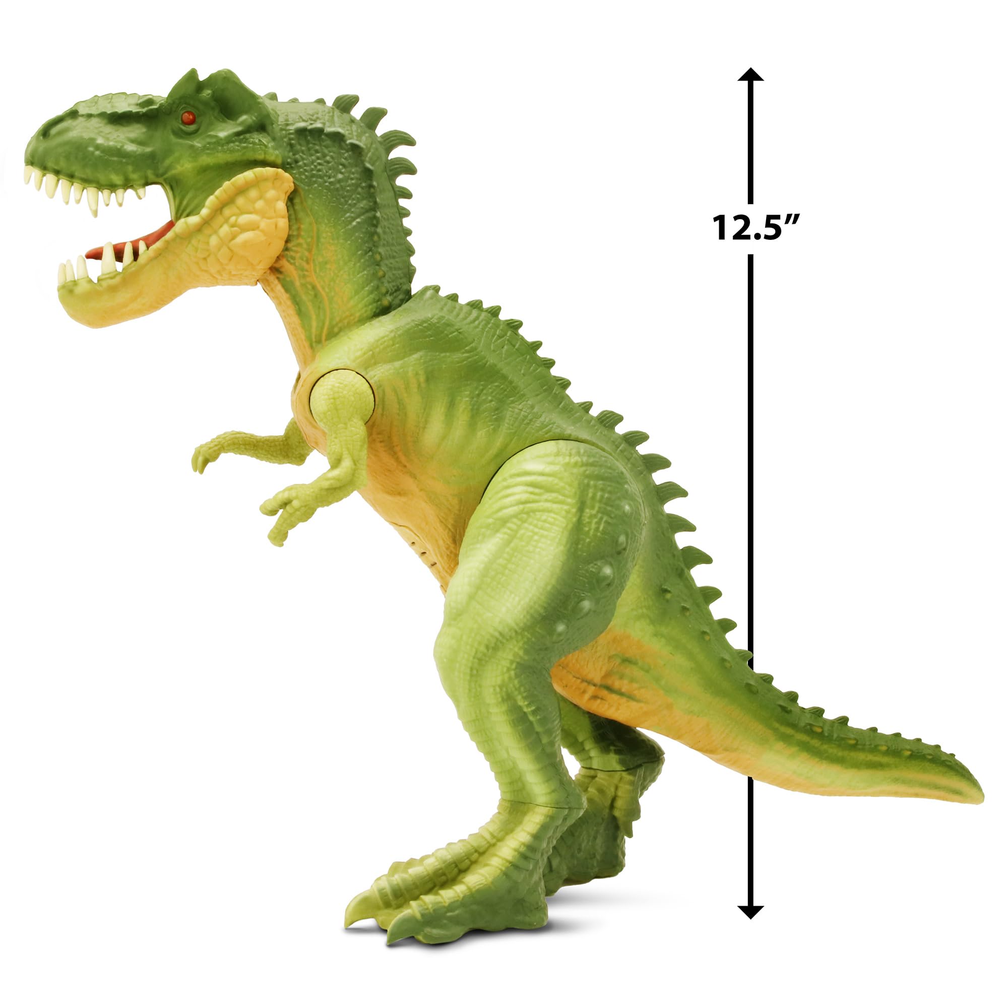 その他 T-Rex V1s その他 T-Rex V1s T-Rex Racing 2012 - 2021 Kawasaki ZX-14R No