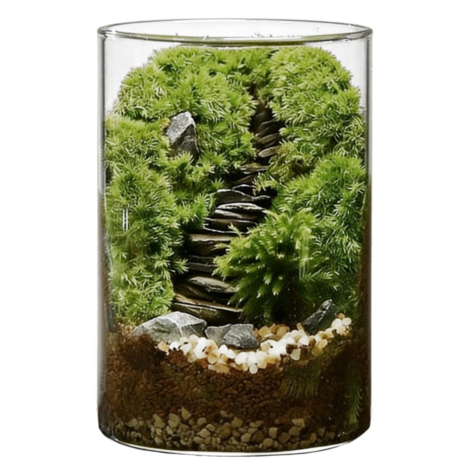 DIY duży zestaw terrarium z mchem, szczegółowy pakiet materiałów i narzędzia w zestawie, butelka ekosystemu ze szkła borokrzemowego, do roślin domowych i mikrokrajobrazów mchu, 15 x 3,9 cm w