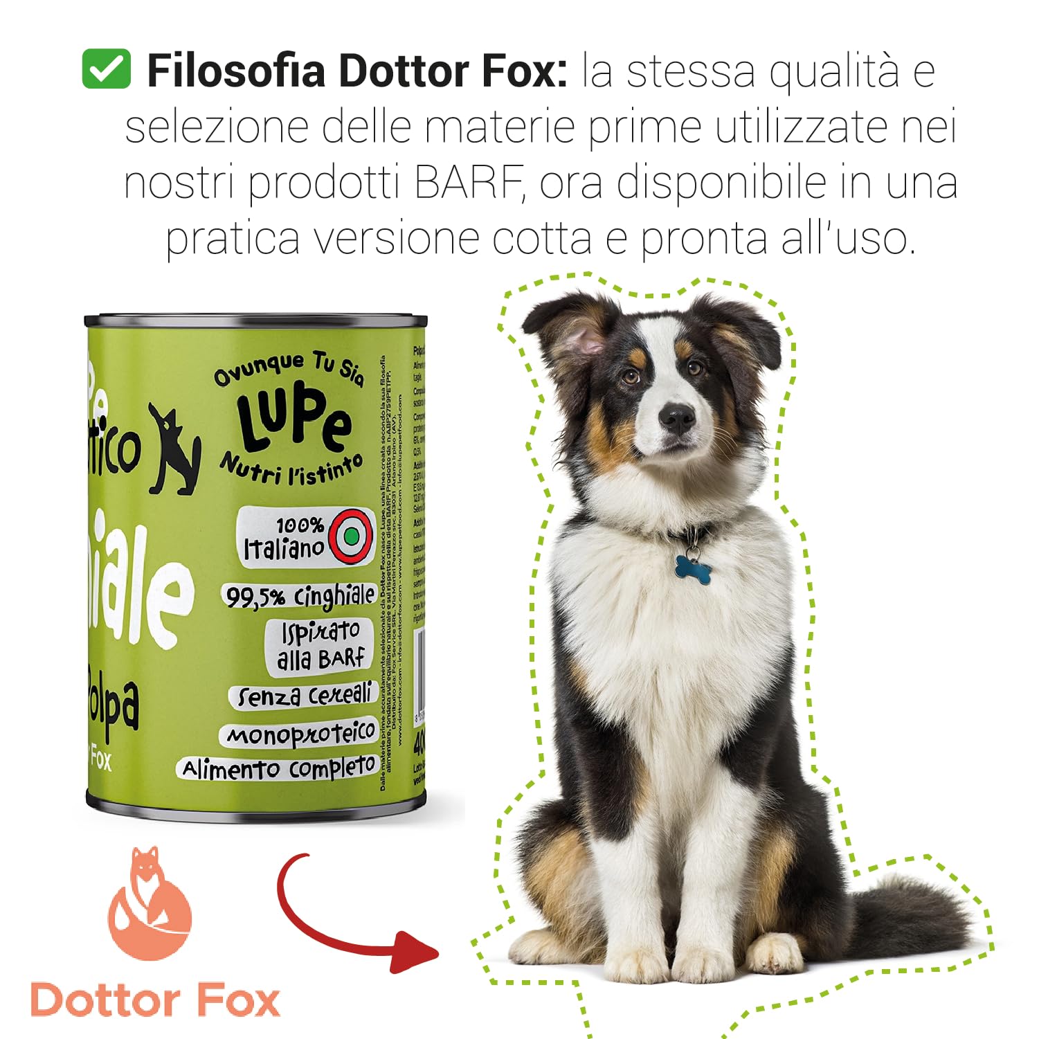 Lupe Polpa di Cinghiale, Alimento Umido Monoproteico per Cani e Gatti, 99,5% Cinghiale Italiano, Senza Cereali, Pasto Completo Ispirato alla BARF, 400 g