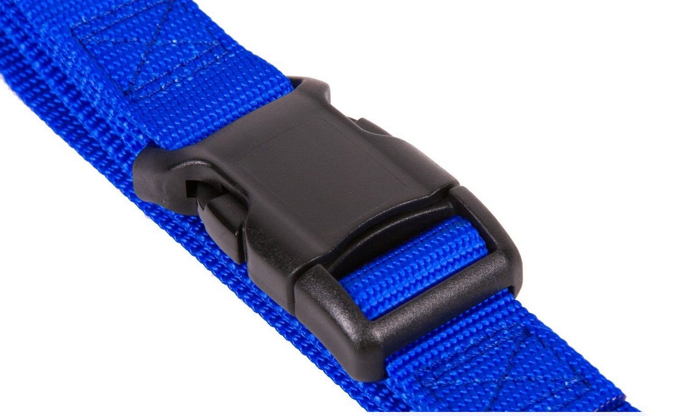 Hundehalsband Mit Pfotenabdruck & Glöckchen – Nylon, Verstellbar Für Kleine & Mittlere Hunde