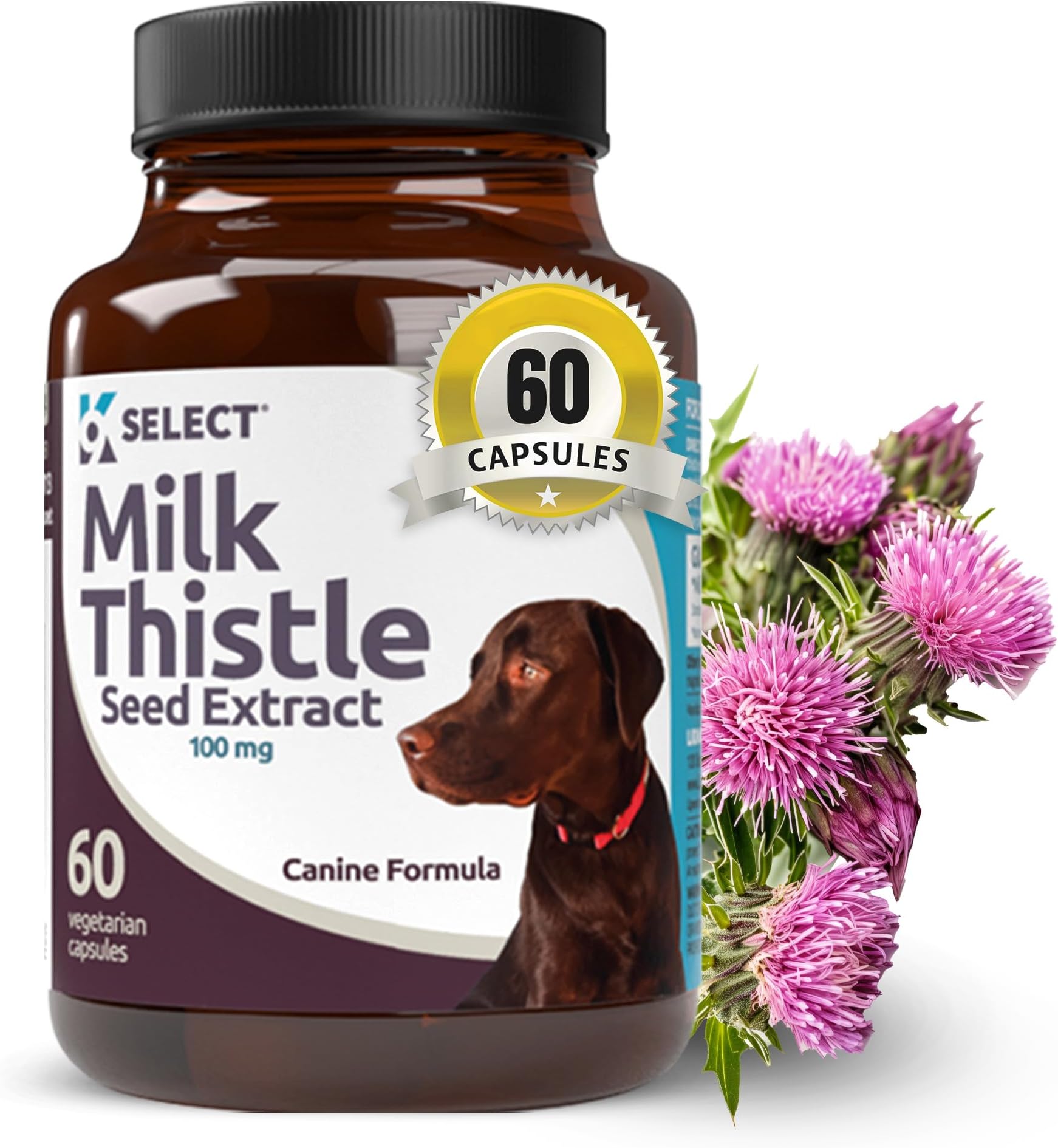 Milk Thistle for Dogs, 100mg - 60 Vegetable Capsules - Canine Liver Health Milk Thistle Supplement - Milk Herbal