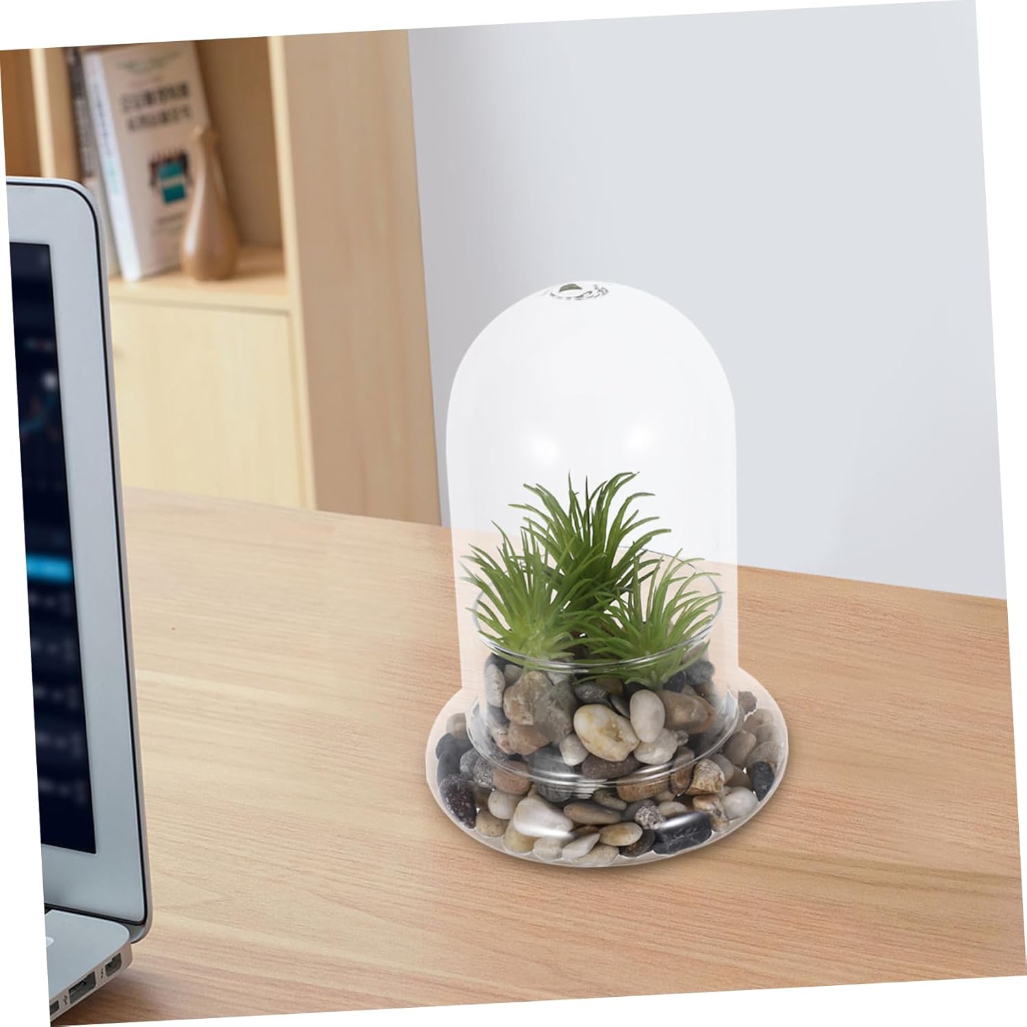 2pcs Micro Landscape Ecological Bottle Glass Jar with DIY Terrarium Decoration for Home Office Borosilicate Glass Eco Bottle for Miniature Plants and Ornaments