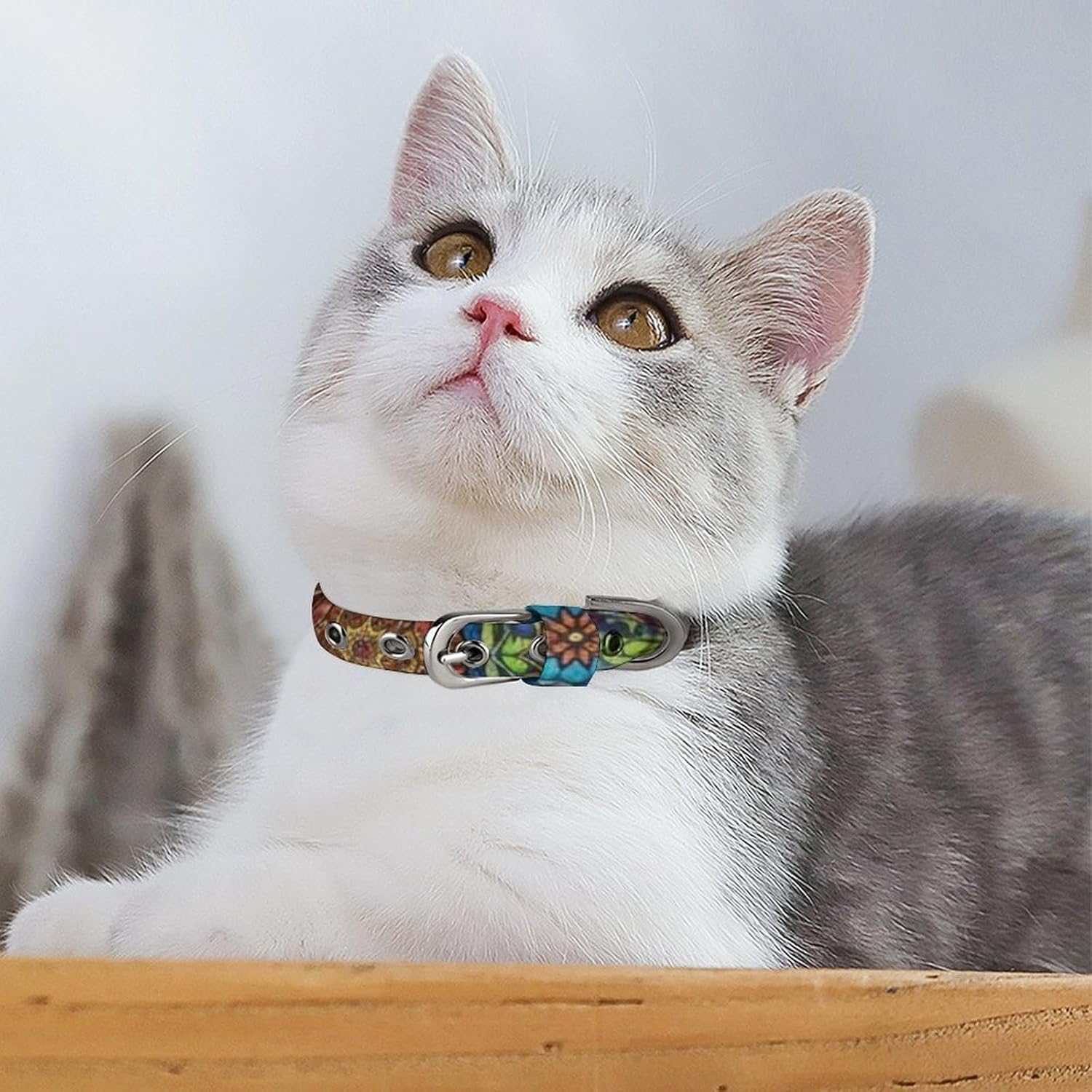 Adjustable & Breathable Pet Collar, Soft Fabric with Secure Metal Buckle, Colorful Bohemian Mandala Flower Boho Floral, Perfect for Small/Medium Dogs Outdoor Fun